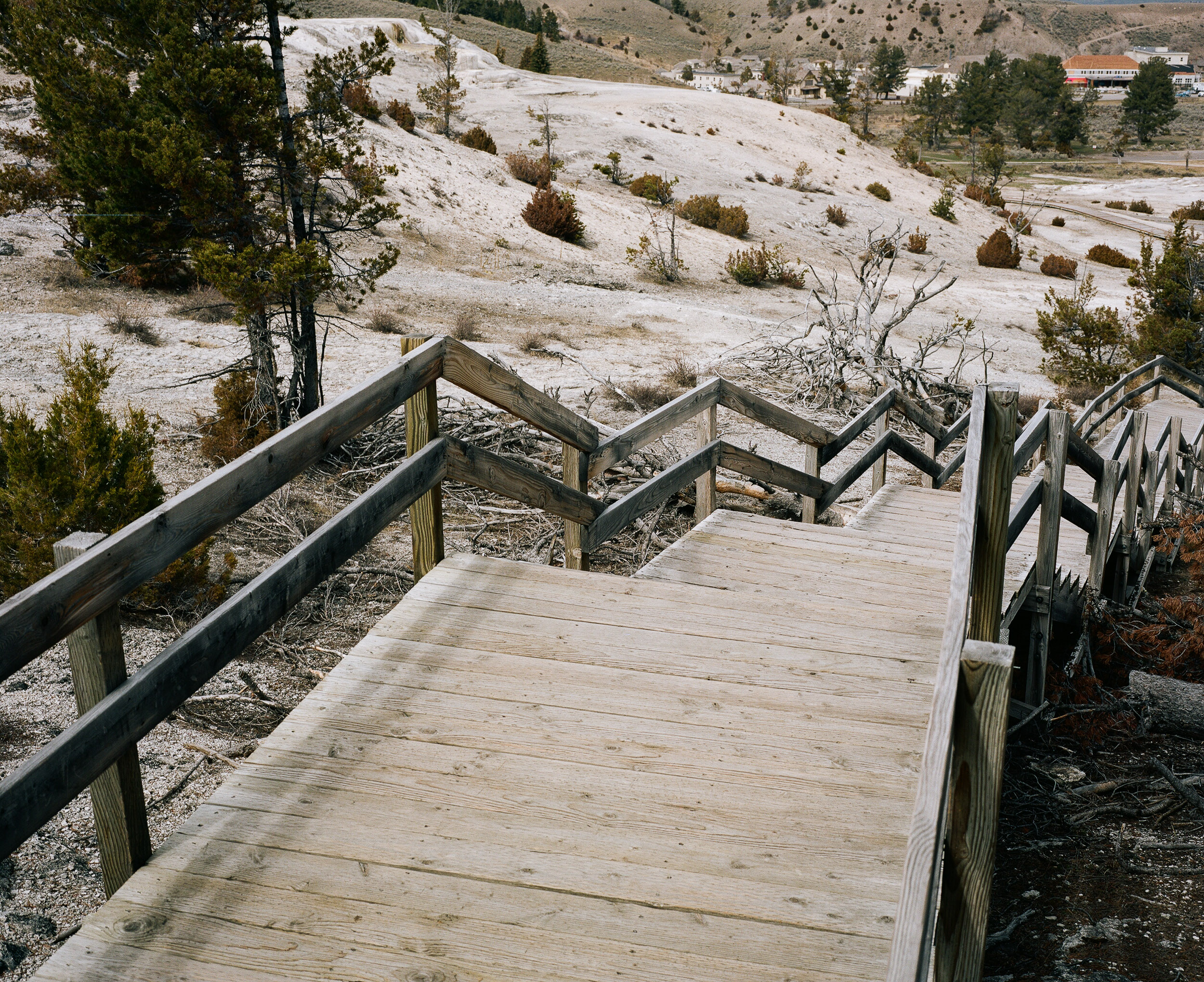 Wooden stairs of the boardwalk in Yellowstone’s Mammoth Hot springs