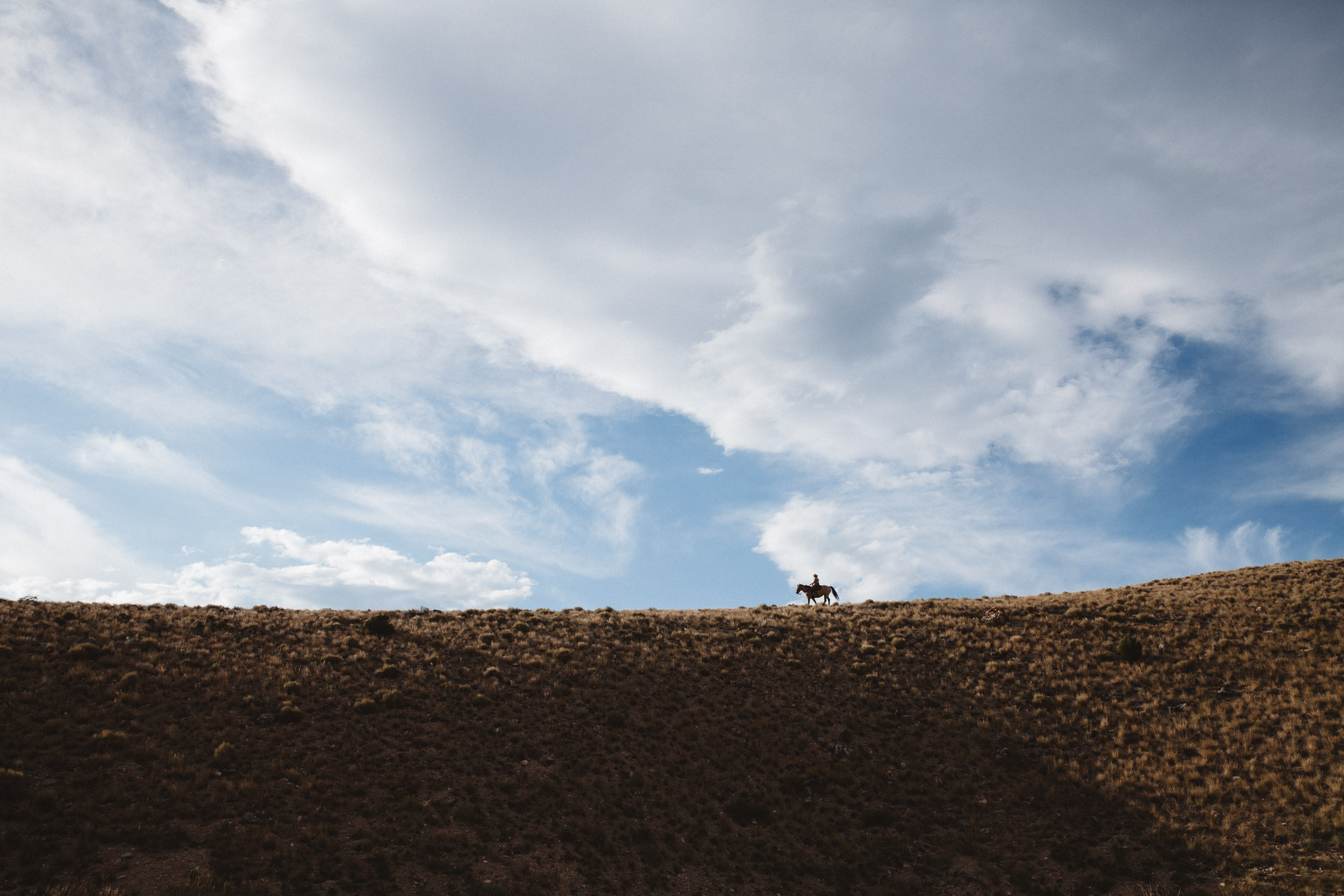 Horseback rider against the sky