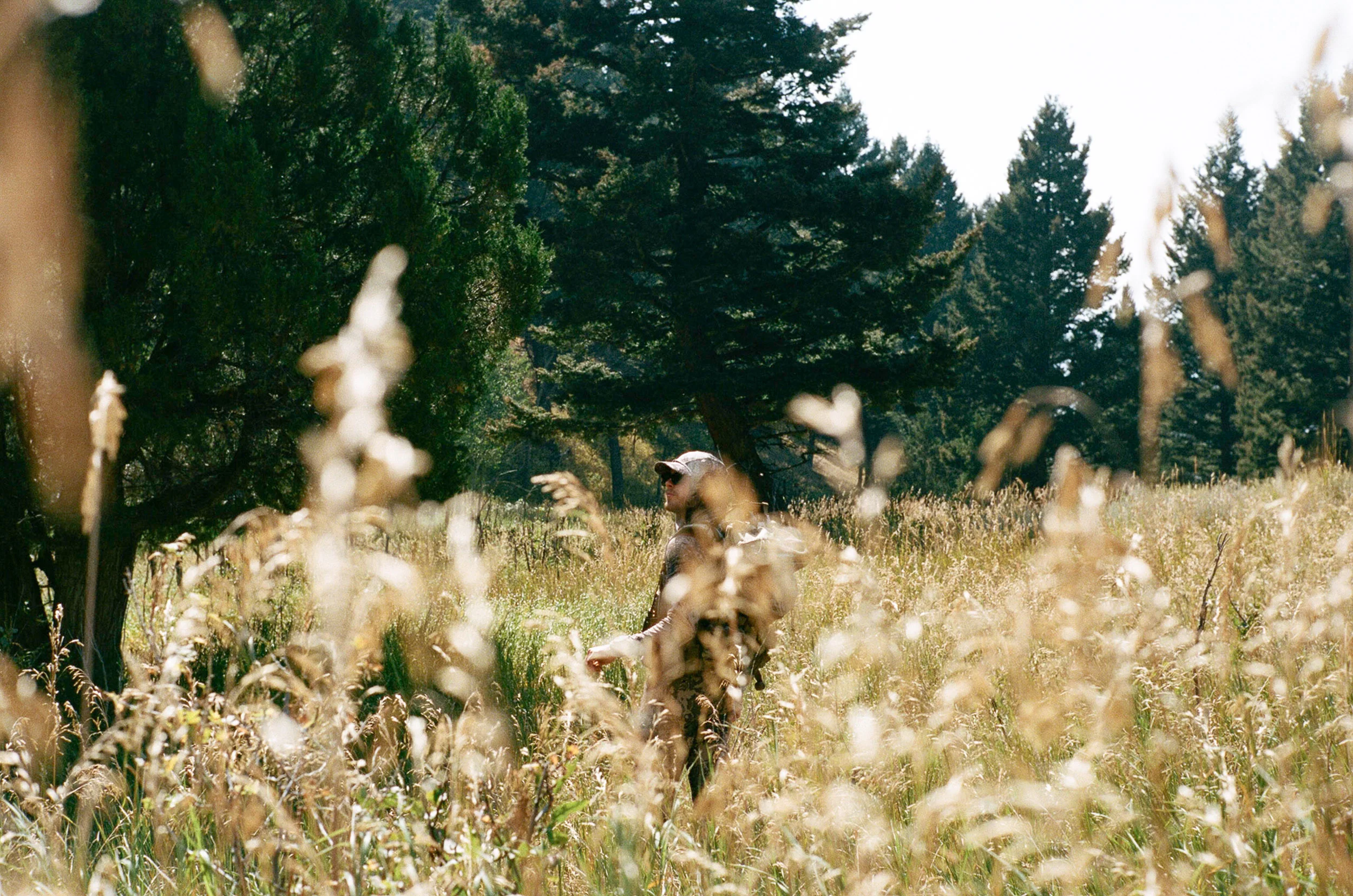 Hunter in camouflage in the high grass
