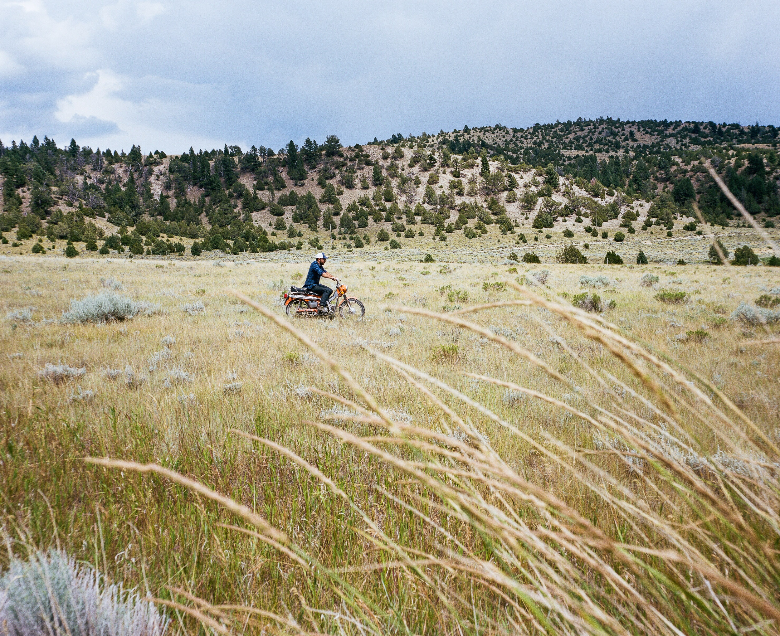 Motorcycle rider riding an orange trail 90 through the grass and sagebrush