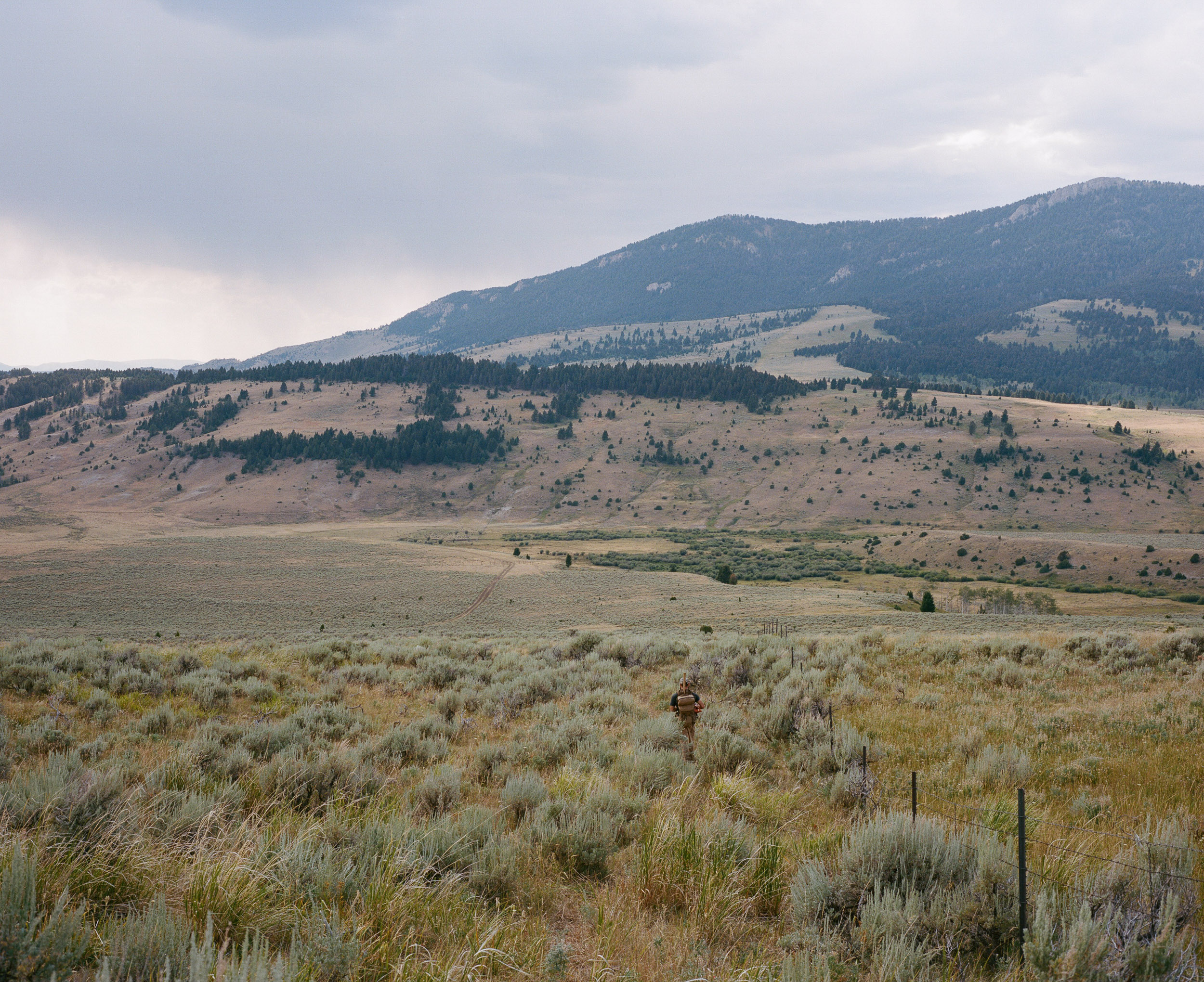 Hiker walking alongside a fence through a sagebrush filled field with the mountains in the distance