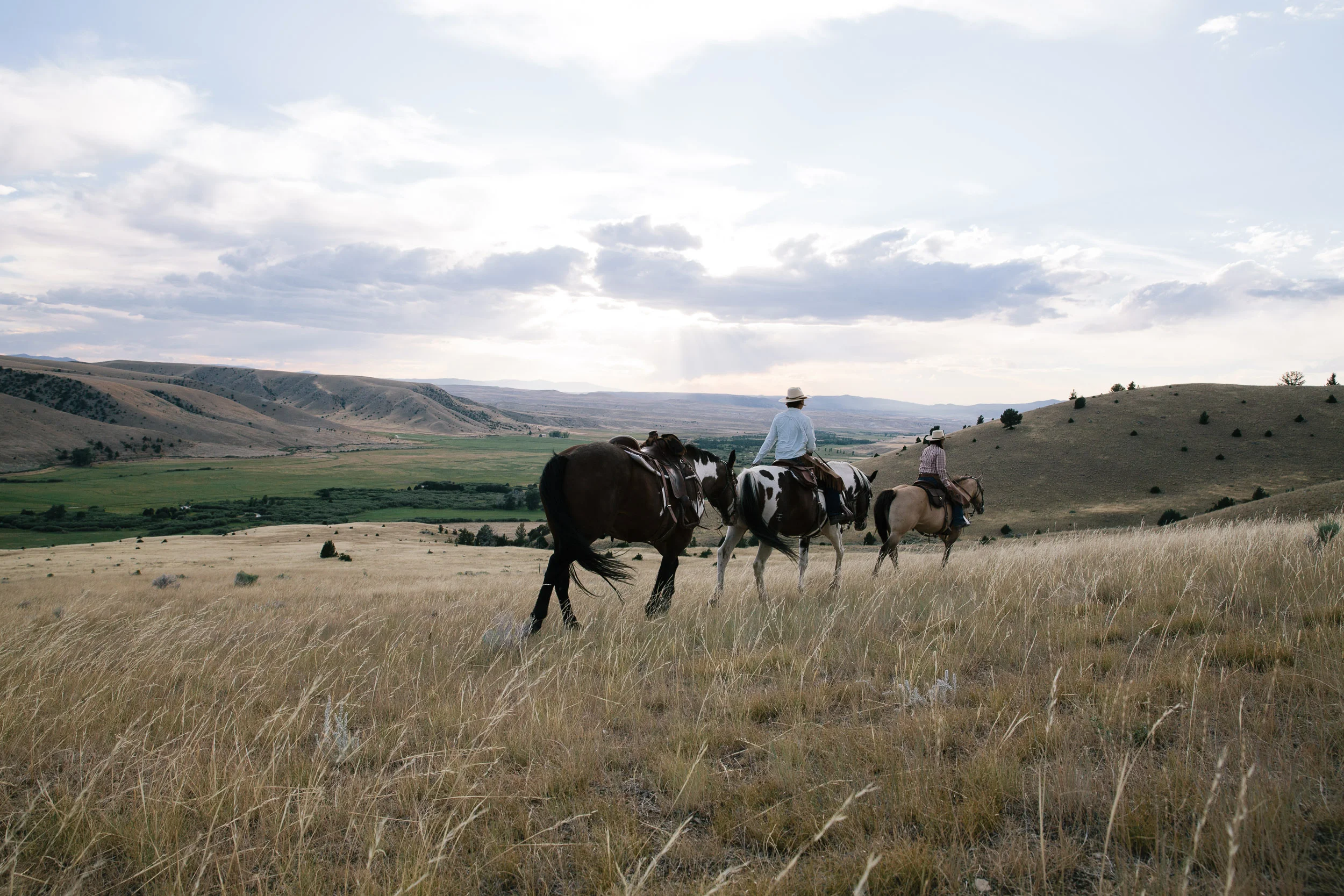 Woman riding a horse in the middle of a horsepack team,