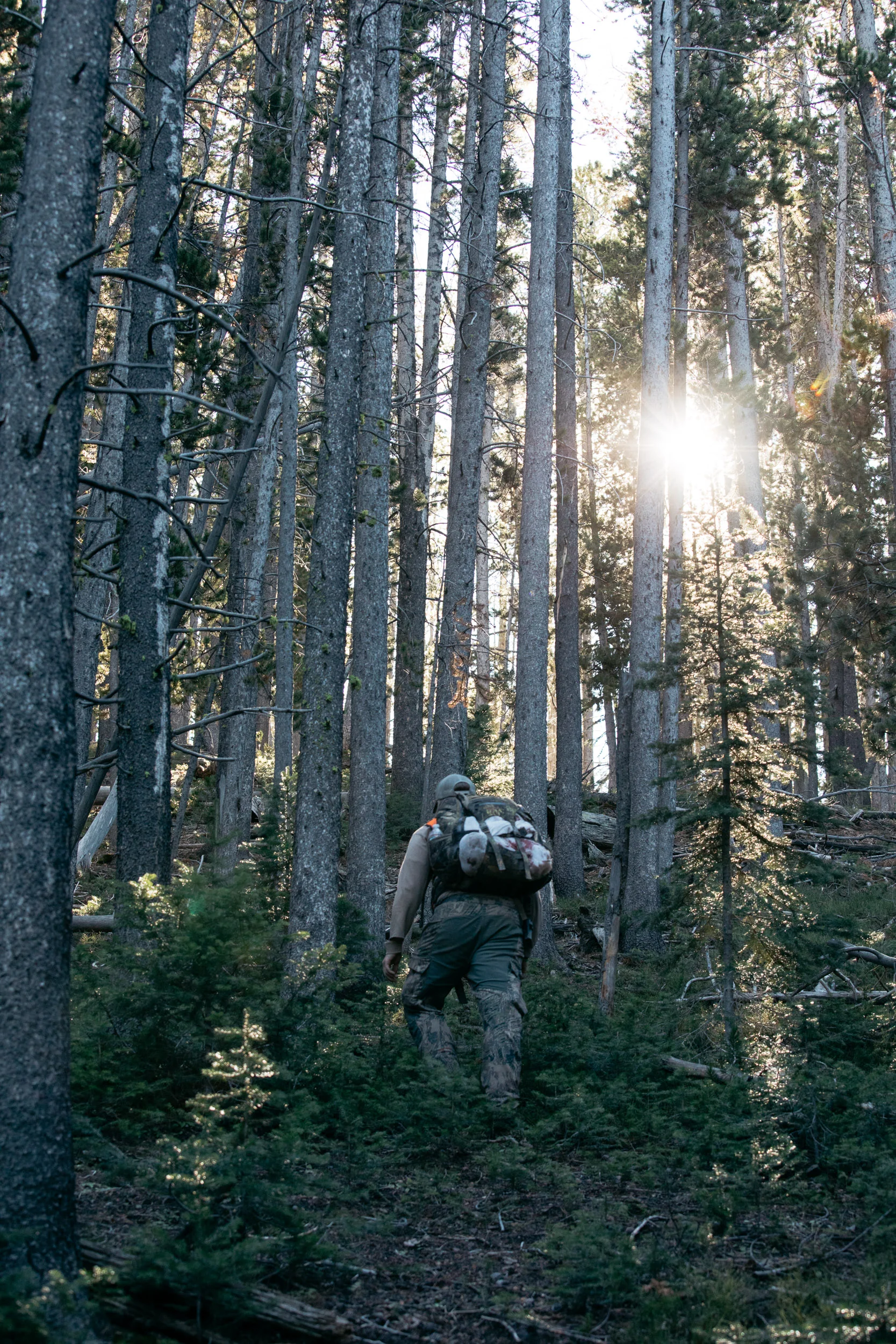 Hunter in the woods going towards a sunglare