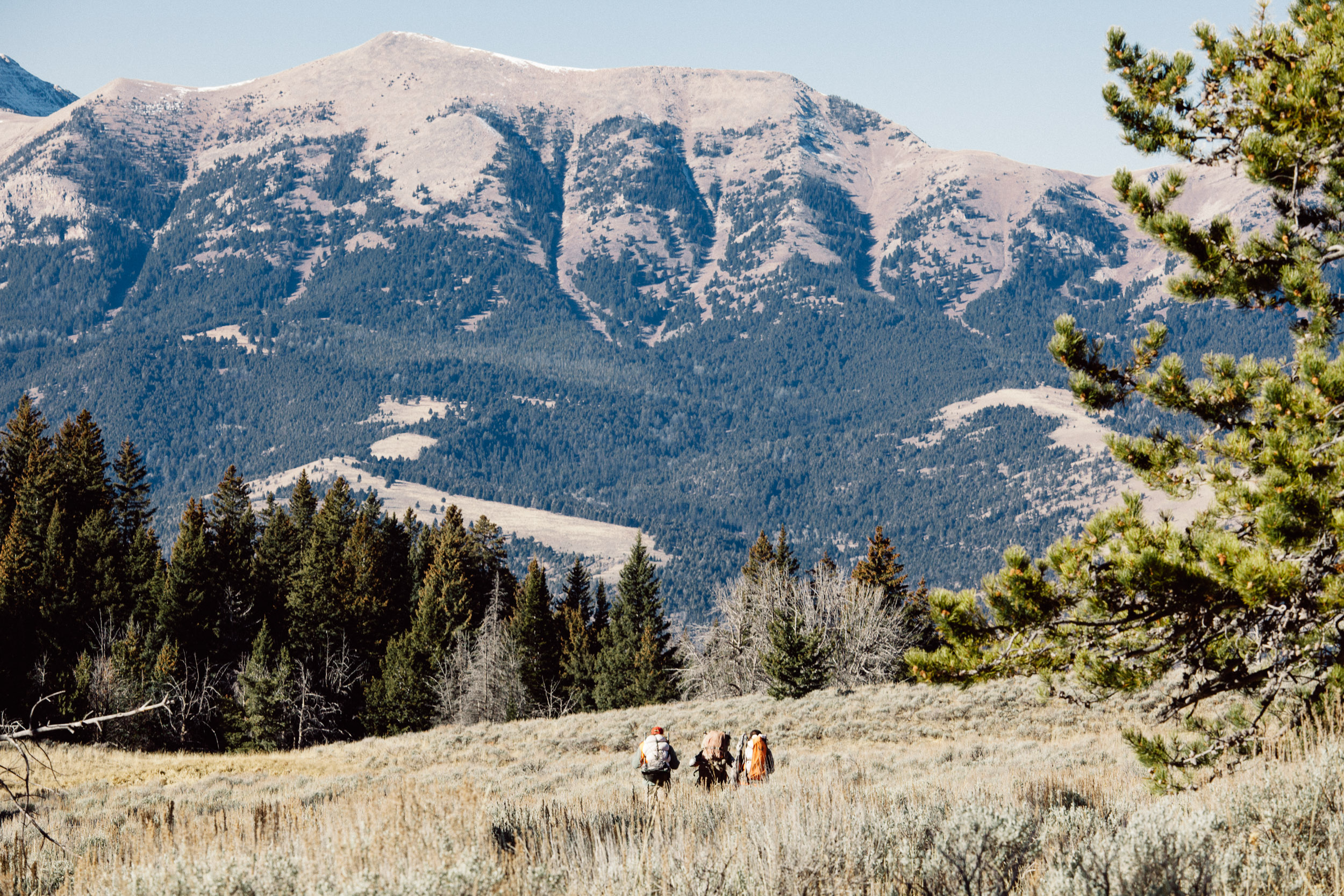 Hunters packing out an elk from the Rocky Mountains in Montana