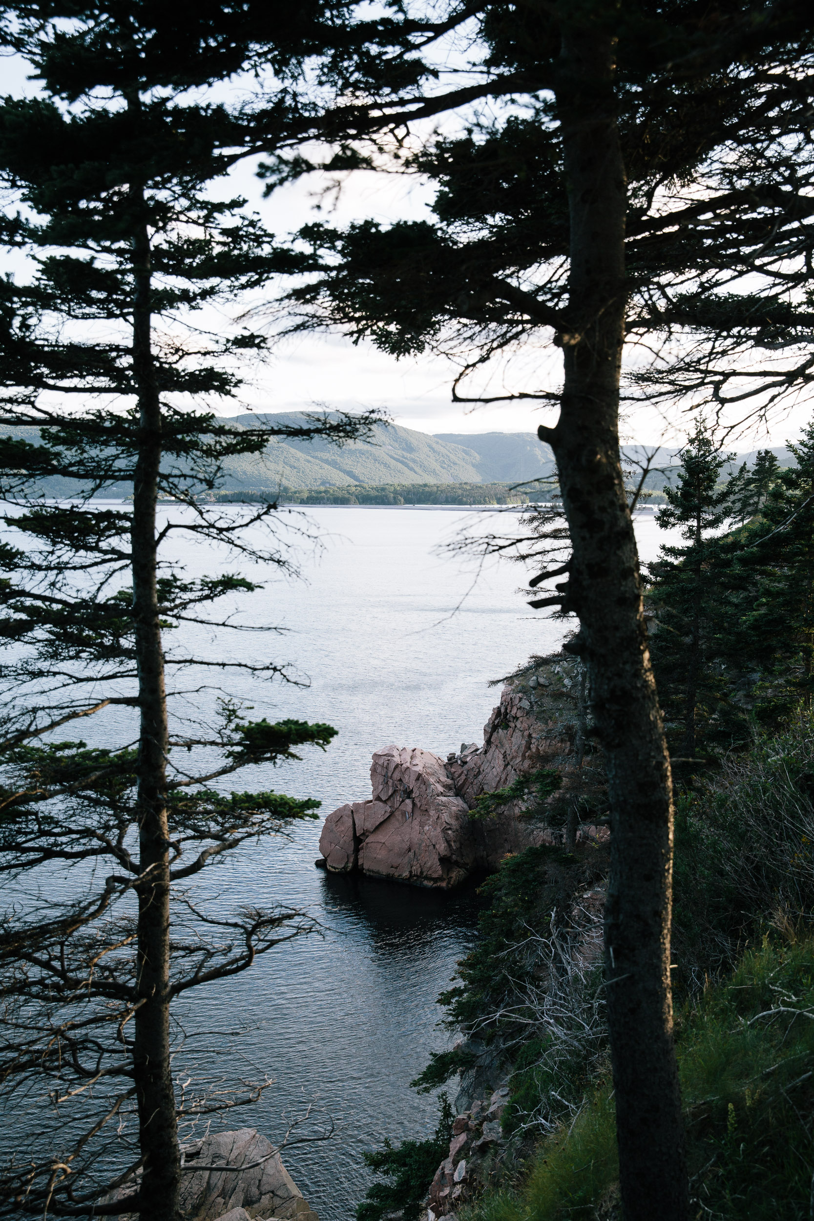 Rock outcrop into the ocean seen between trees- travel photography cape breton nova scotia