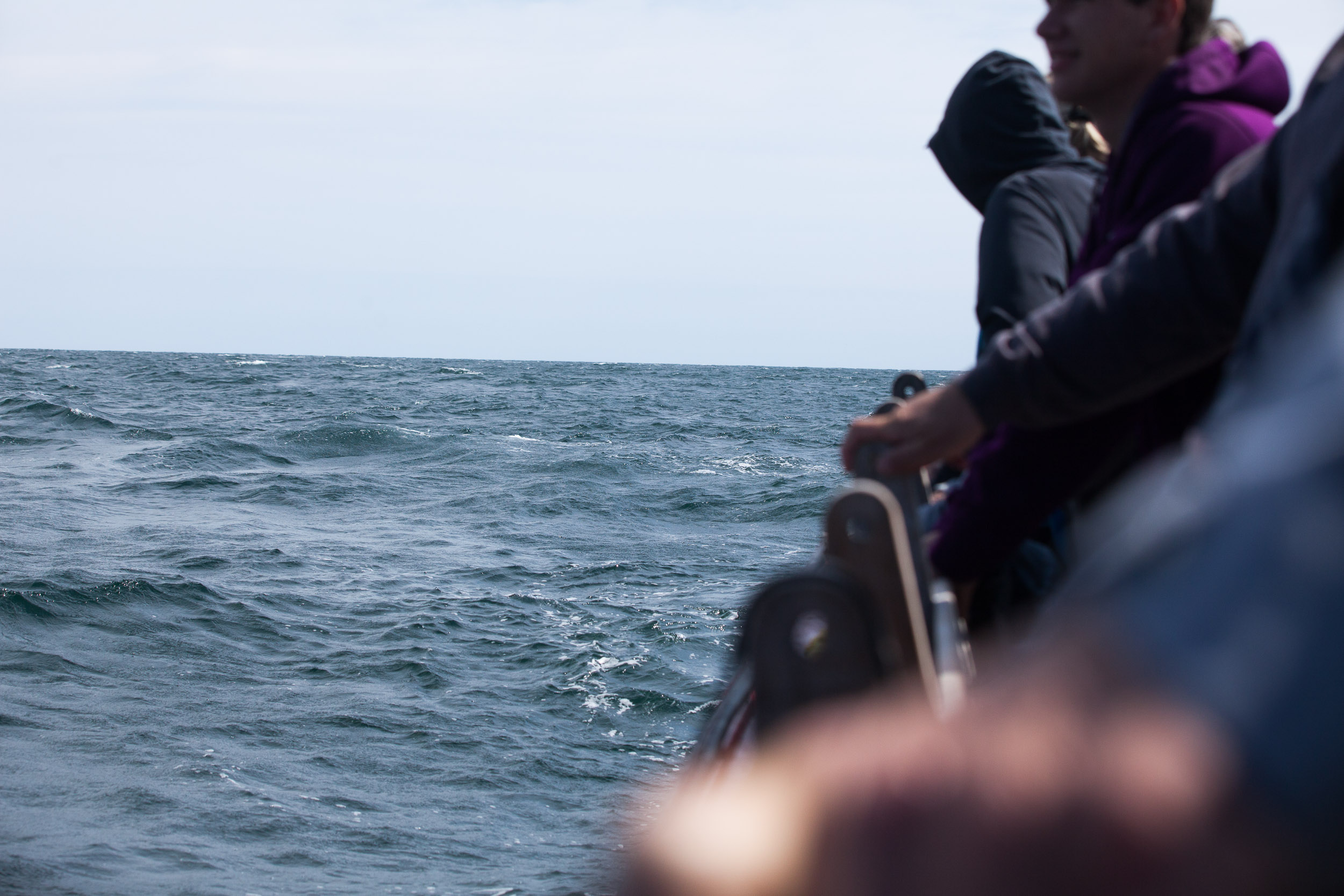 Whale watchers on the side of a boat looking into the ocean- travel photography cape breton nova scotia for re:porter magazine
