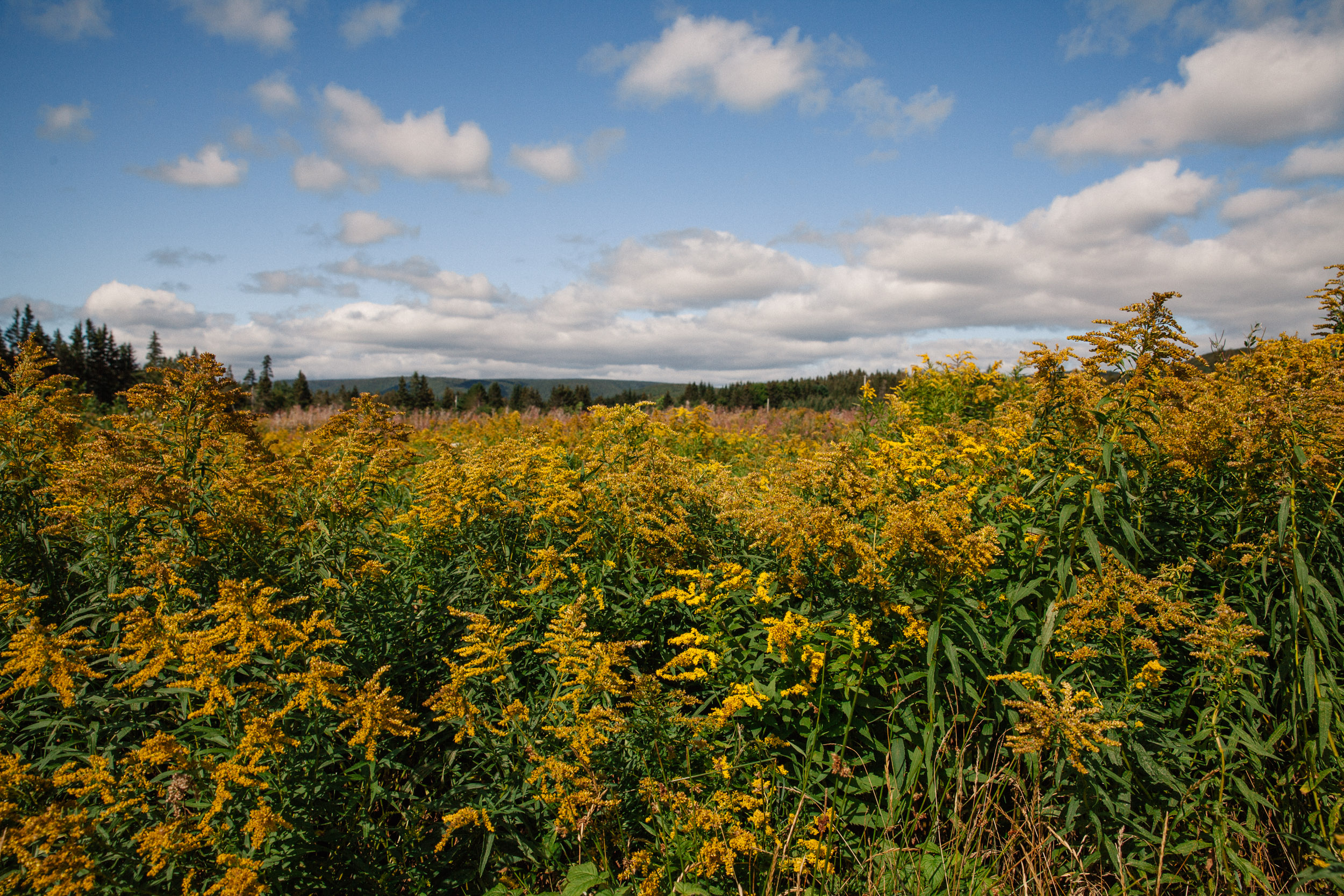 travel photography cape breton nova scotia for re:porter magazine