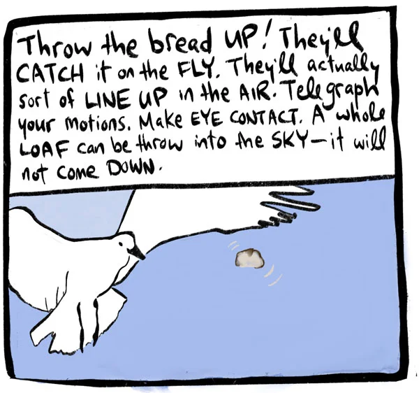 Untitled-3.jpg