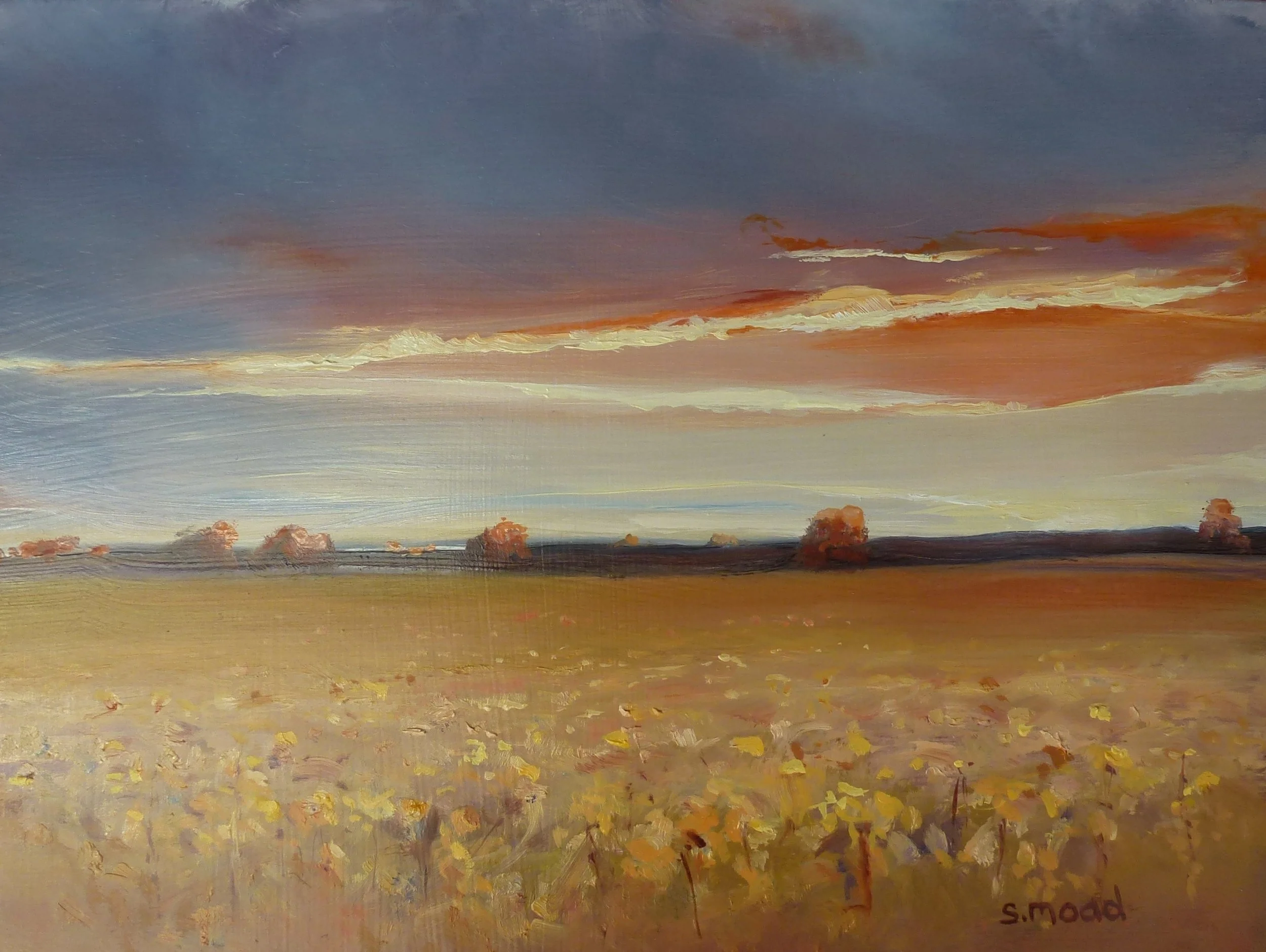 "Sunset On The Canola - beverley Western Australia" Oil on masonite Size: 30cm x 23cm Price: $1,400 SOLD