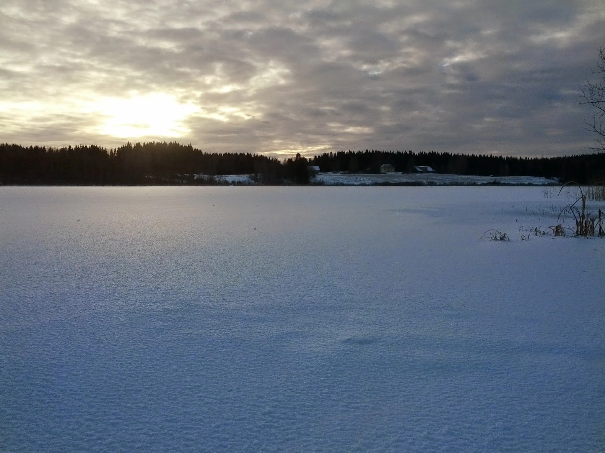 IMG_20131202_130553.jpg