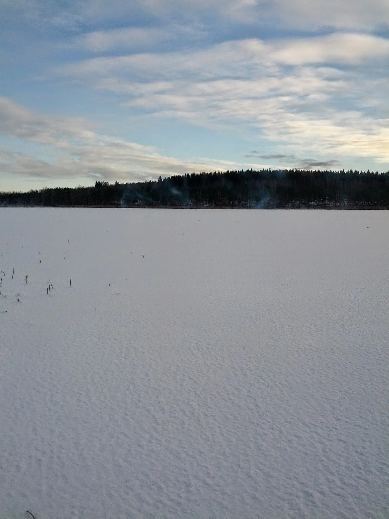 IMG_20131202_131106.jpg