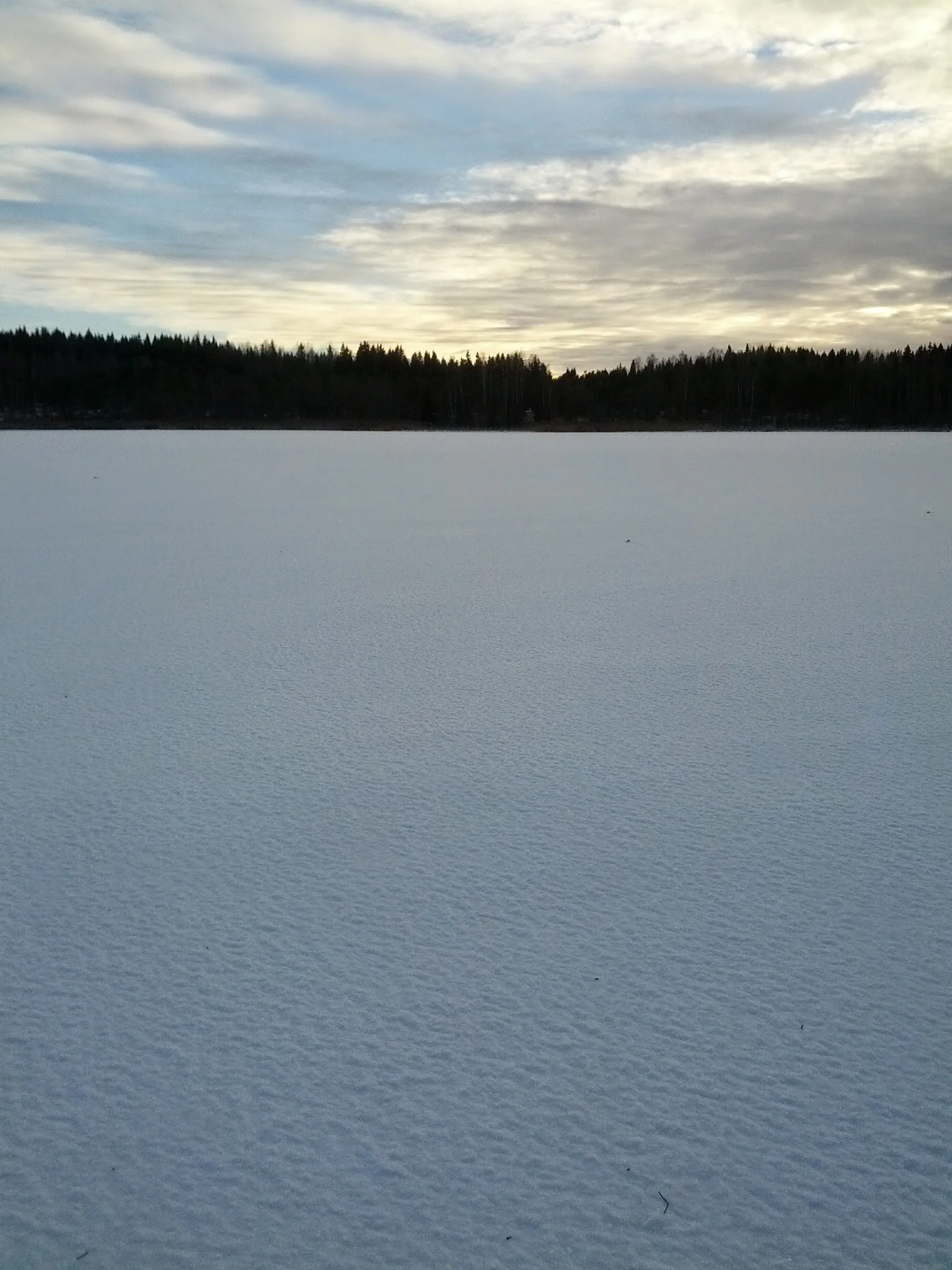 IMG_20131202_131317.jpg
