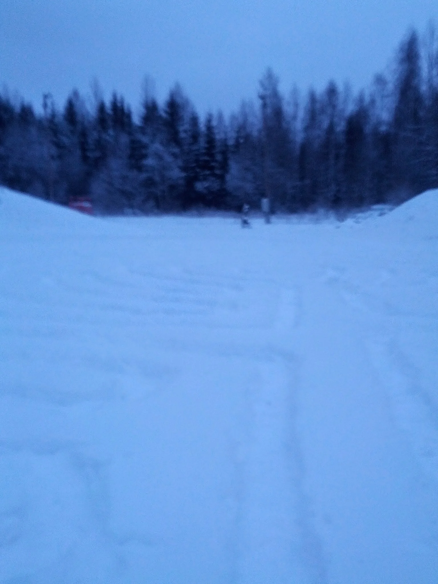 IMG_20131208_152045.jpg