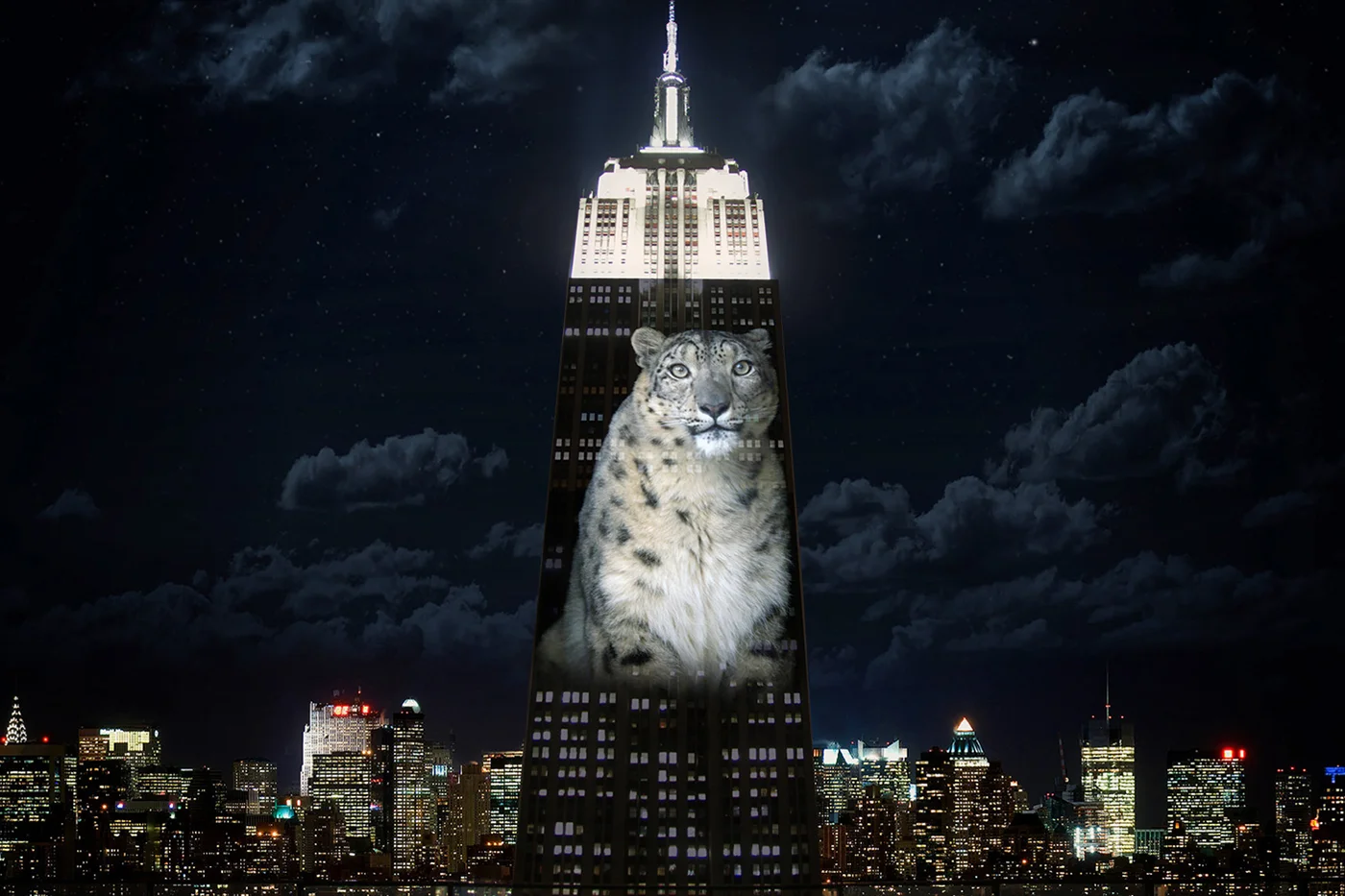 The Mosaic of Change is a follow up to Obscura Digital's Endagered Species projections on the Empire State Building, as part of their moto: #PROJECTINGCHANGE