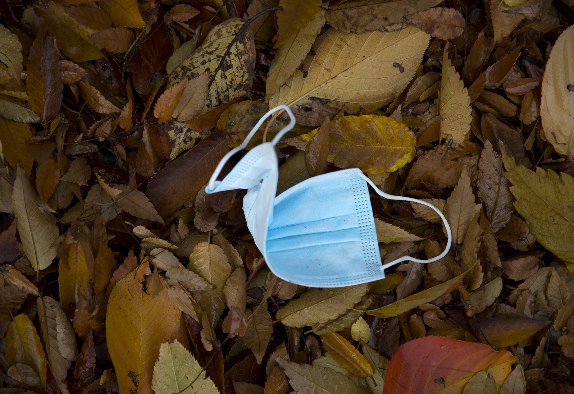 There’s a light at the end of the pandemic tunnel