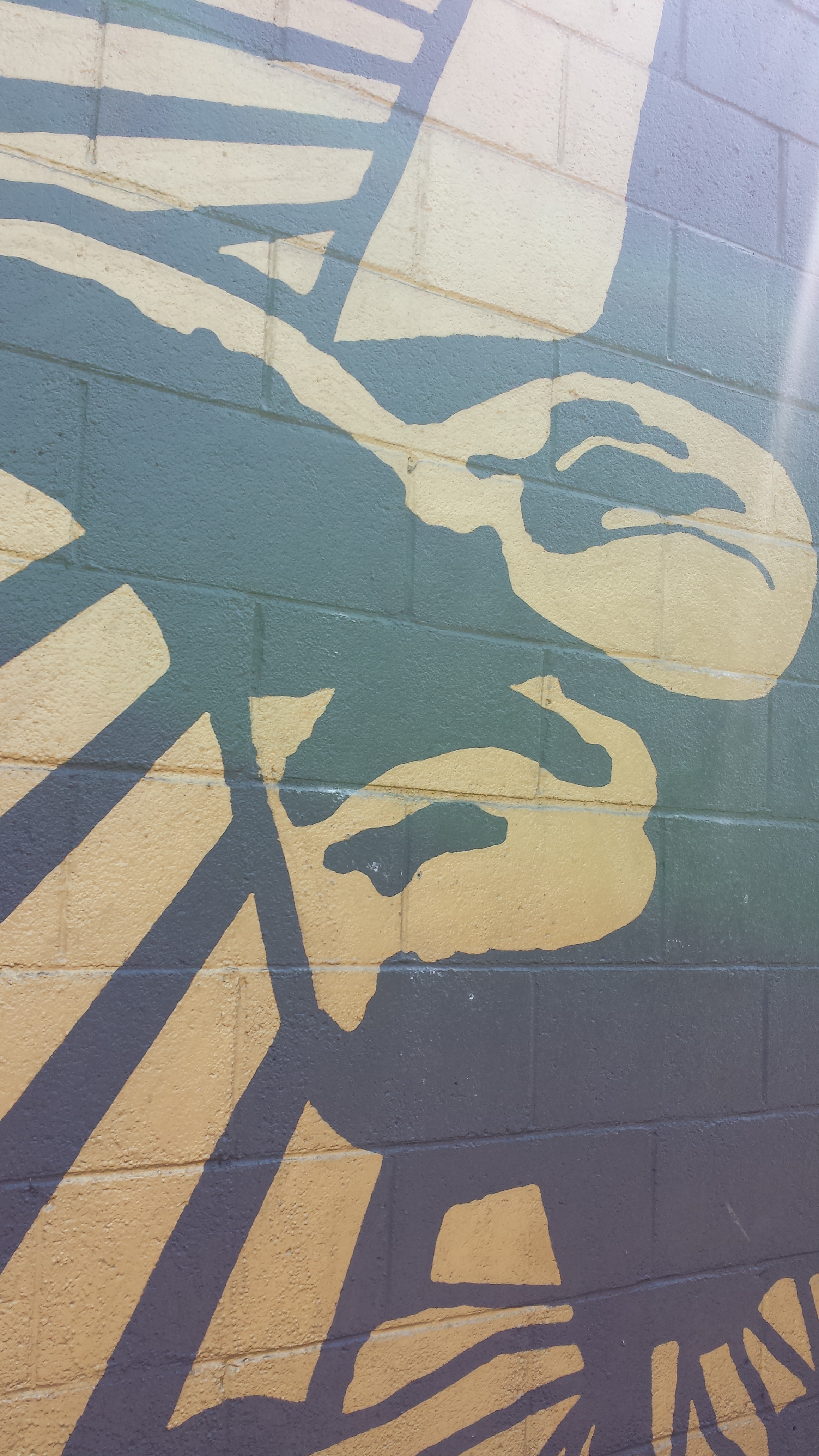 20130718_105011.jpg