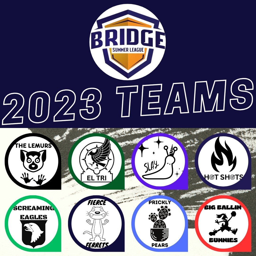 It's time to announce the eight teams for this summer's BSL, one of our favorite programs! We are finally ready for year 4 and all members of our family are welcome to join, student-athletes, parents, coaches, alumni, and leadership board. Draft nigh
