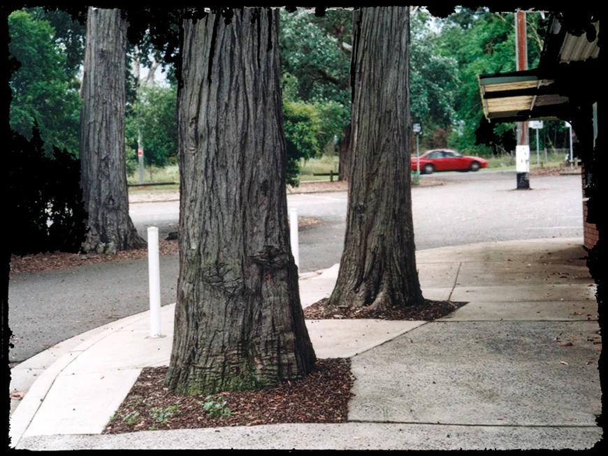 Untitled 19