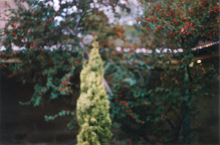 Untitled 9