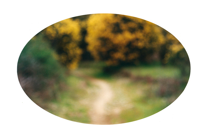 Ellipse #4