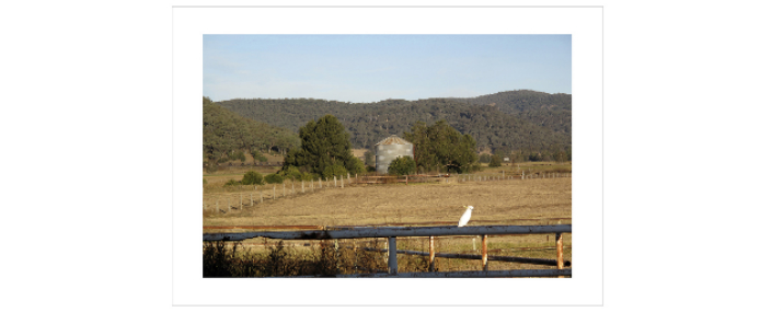 Shoo, Cockatoo! , 2012 Pure pigment print on archival art paper, 65 x 95 cm On a stock rail at ‘Tarwyn Park’ in the Bylong Valley (natural-sequence-farmer Peter Andrews' property, under threat from Korean-backed Cockatoo Coal) sits a sulphur-crested cockatoo. In the distance trundles a long line of coal trucks.
