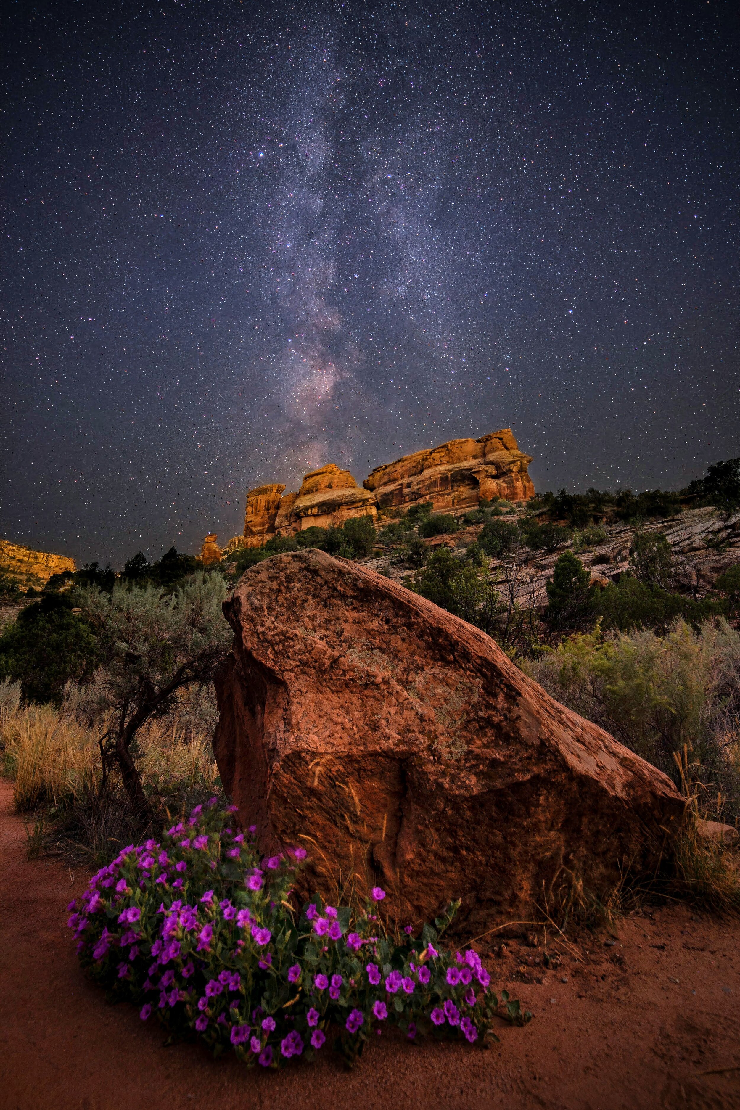 Colorado Monument Stars _JSC0436-1 EDIT 1.jpg