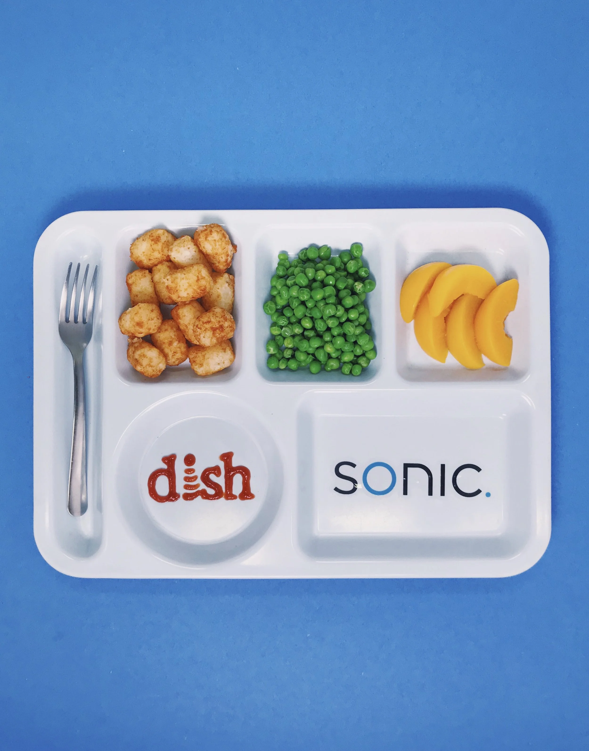 Sonic Net Dish TV tray.jpg