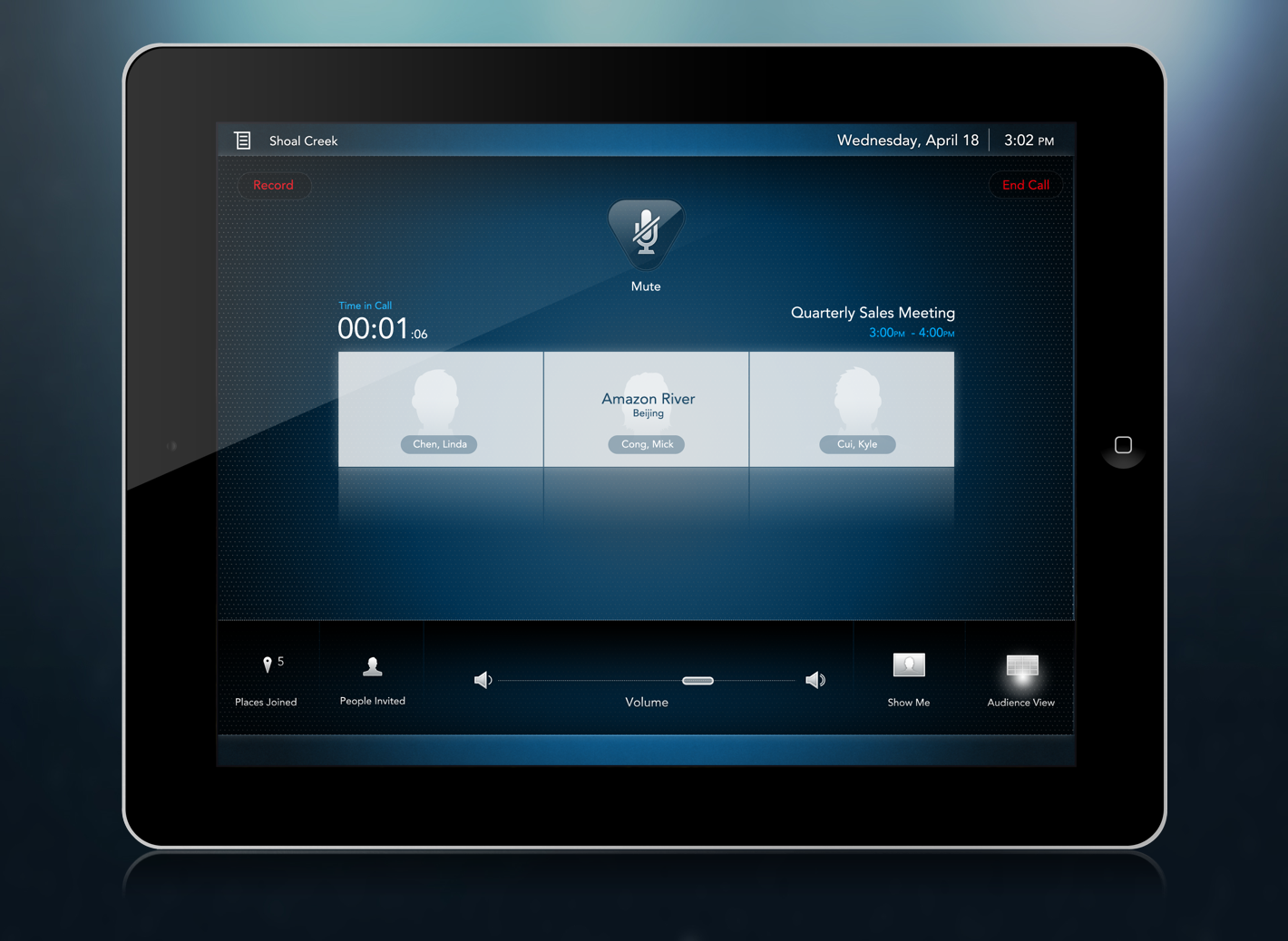   'In&nbsp;Call'&nbsp;screen when used in an Immersive Telepresence Suites  