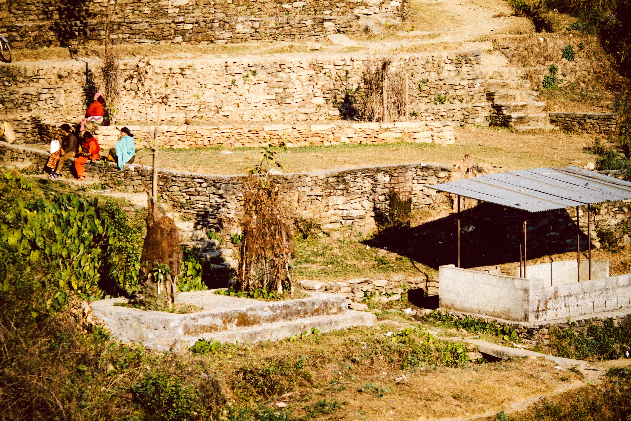 Mercurio Alvarado Mendez_simple life-7798.JPG