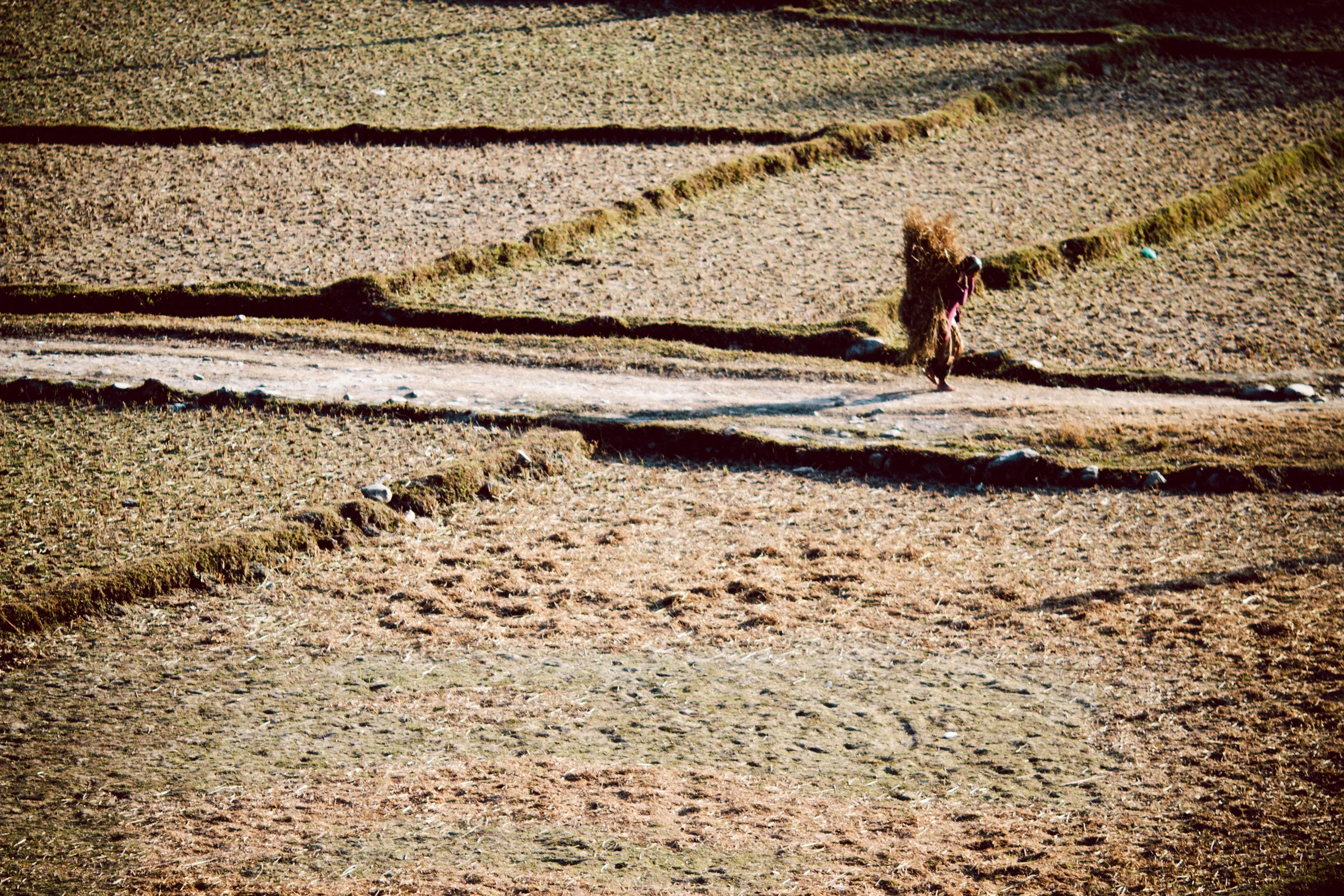 Mercurio Alvarado Mendez_simple life-7801.JPG