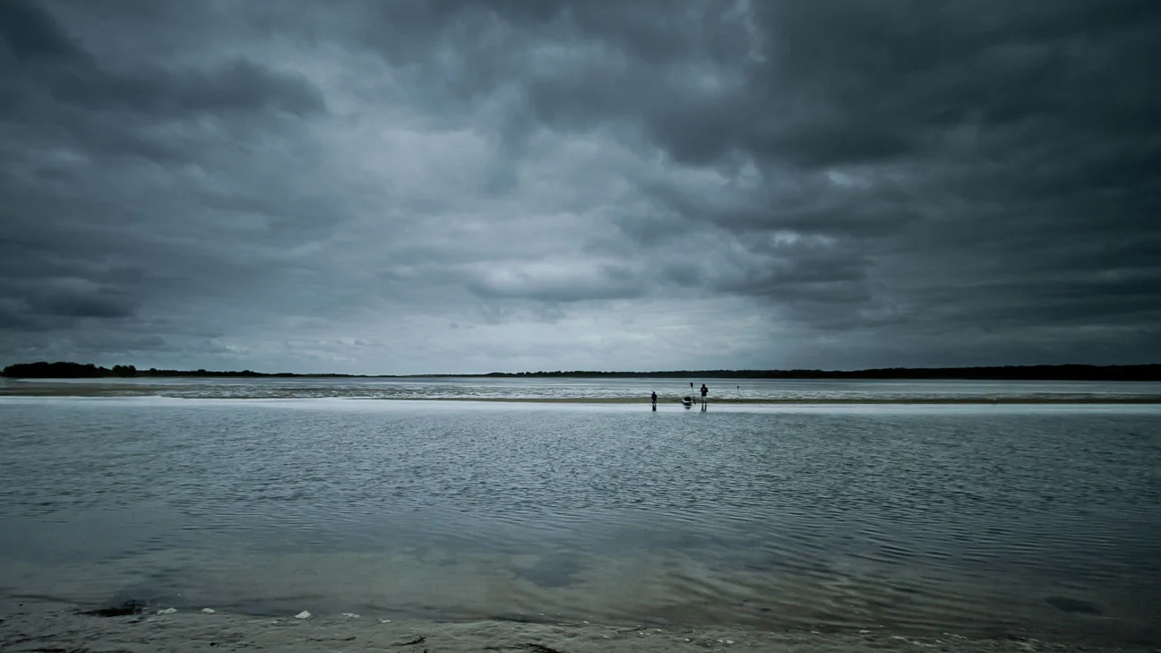 Mercurio Alvarado Mendez-Mangroves  (6).jpg