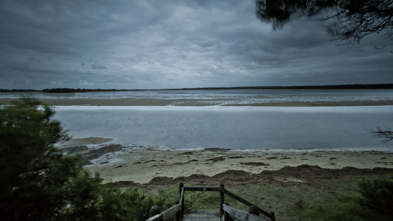 Mercurio Alvarado Mendez-Mangroves  (5).jpg