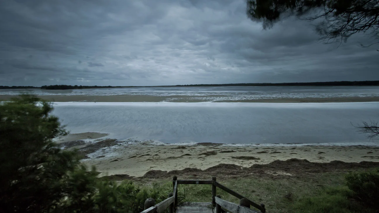 Mercurio Alvarado Mendez-Mangroves  (5).jpg