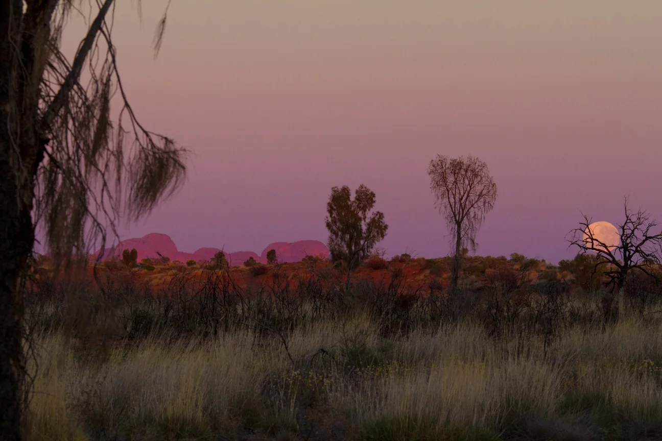 NothenTerritory2013 039.jpg