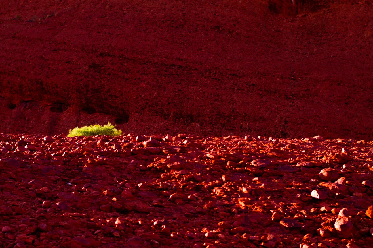 NothenTerritory2013 148.jpg