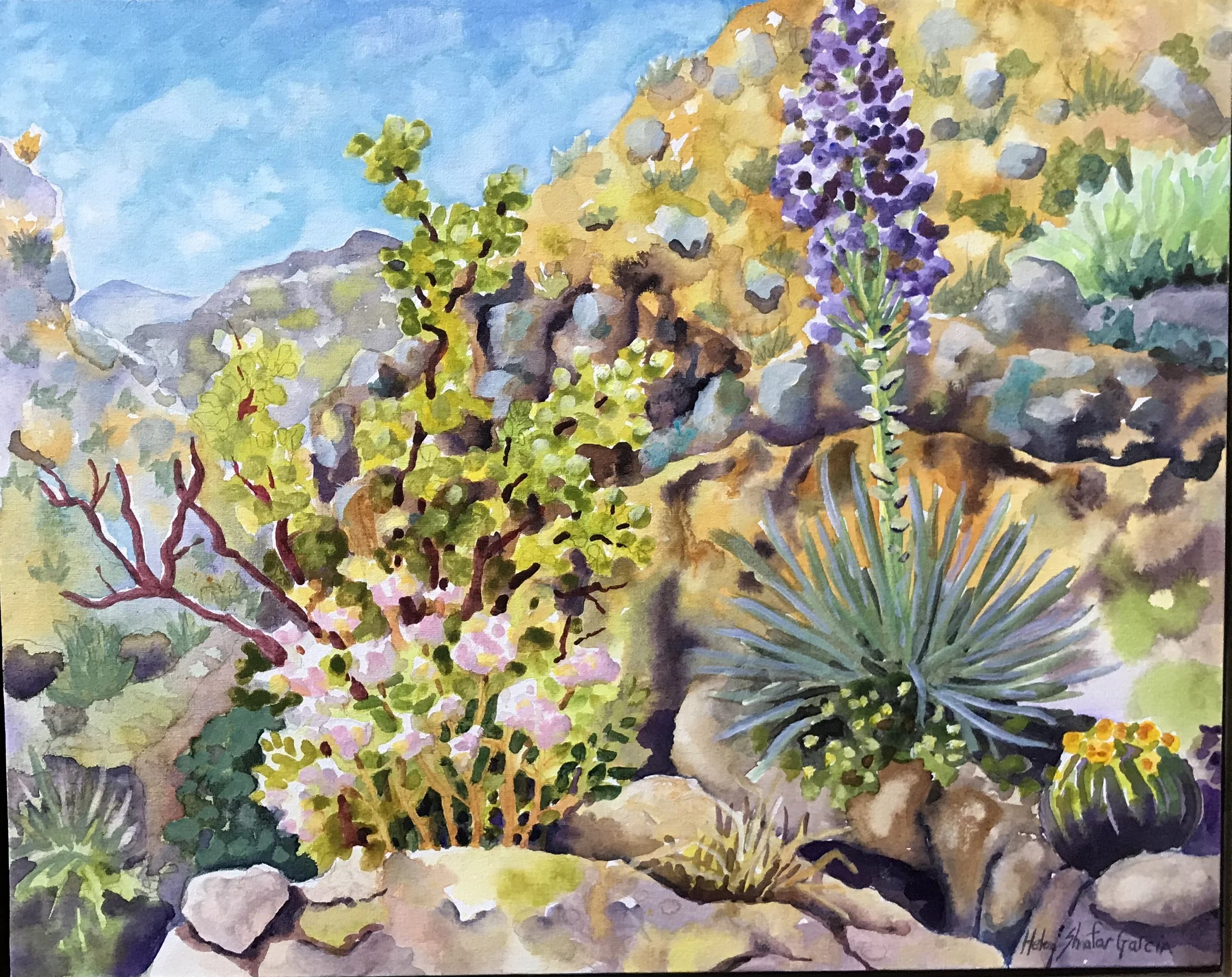 Shop - Canyon Bellota Sold.jpeg