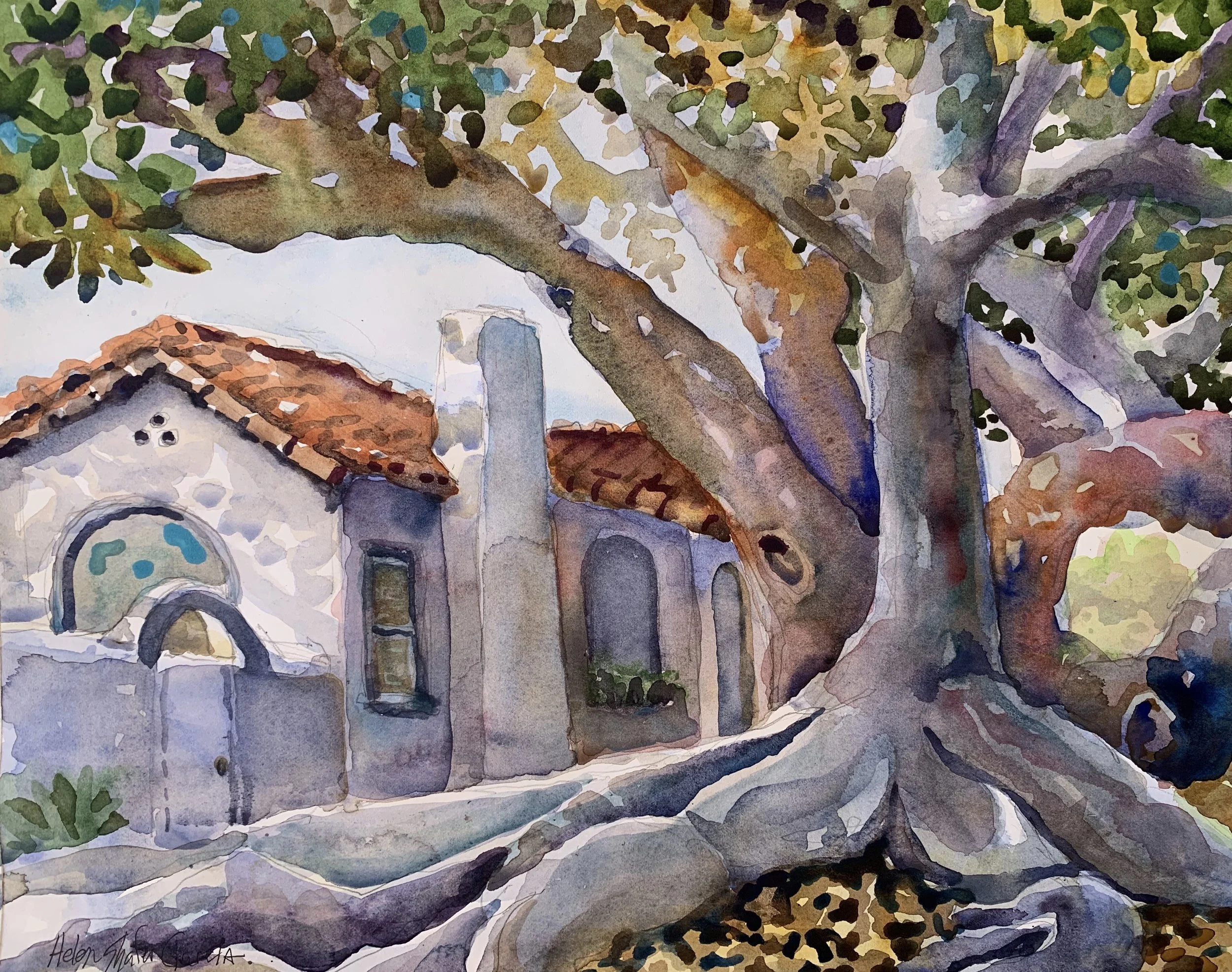 Shop - SOLD - Oceanside Fig Tree watercolor 11 x14.jpeg