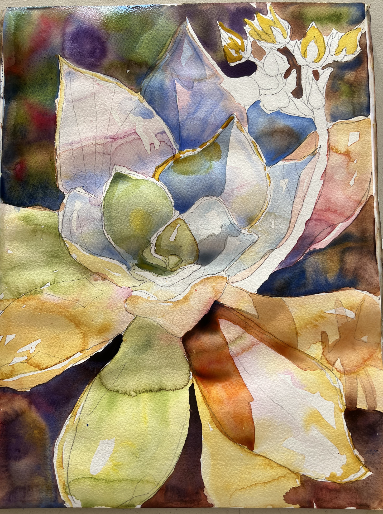 A bunch of colors were dropped in with some abandonment to get a full spectrum on this succulent. 