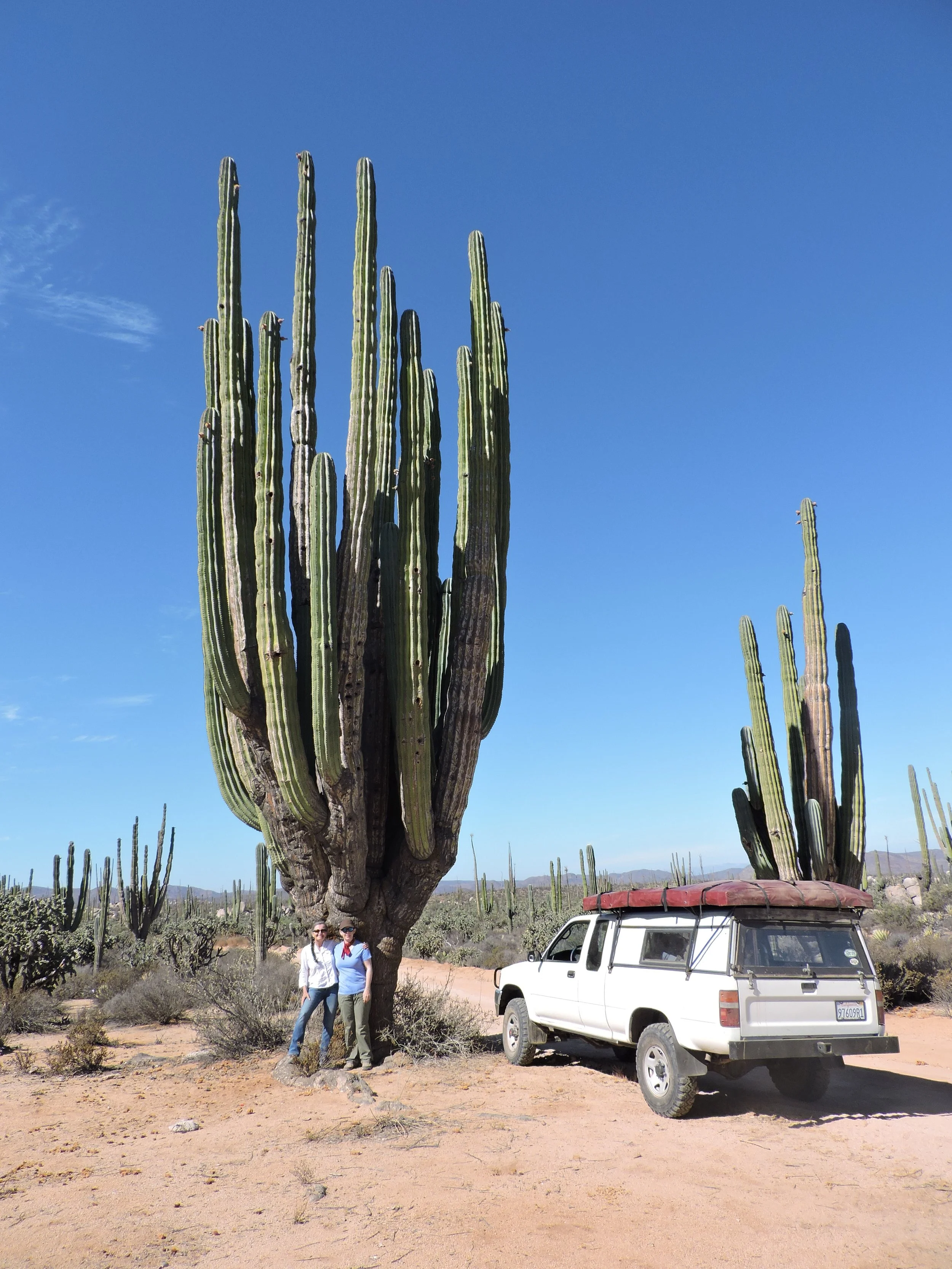 Baja 5.JPG
