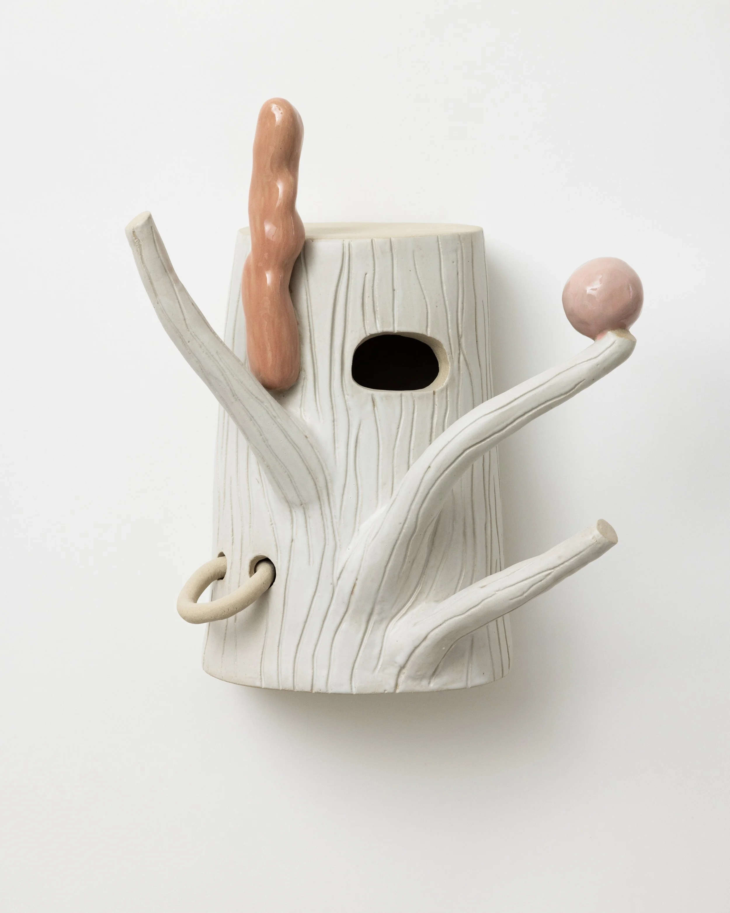 Shelter, 2026 - 1.jpg