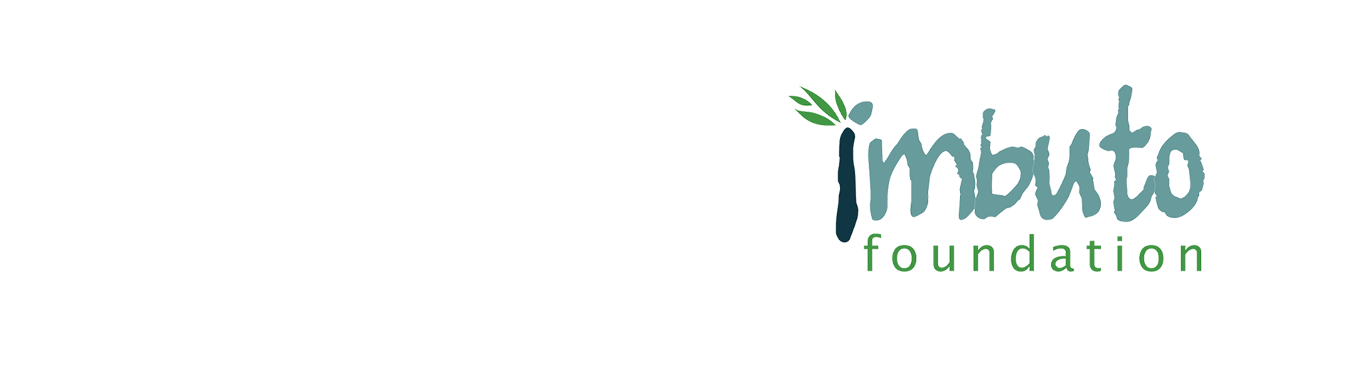 imbotu-768x345.png