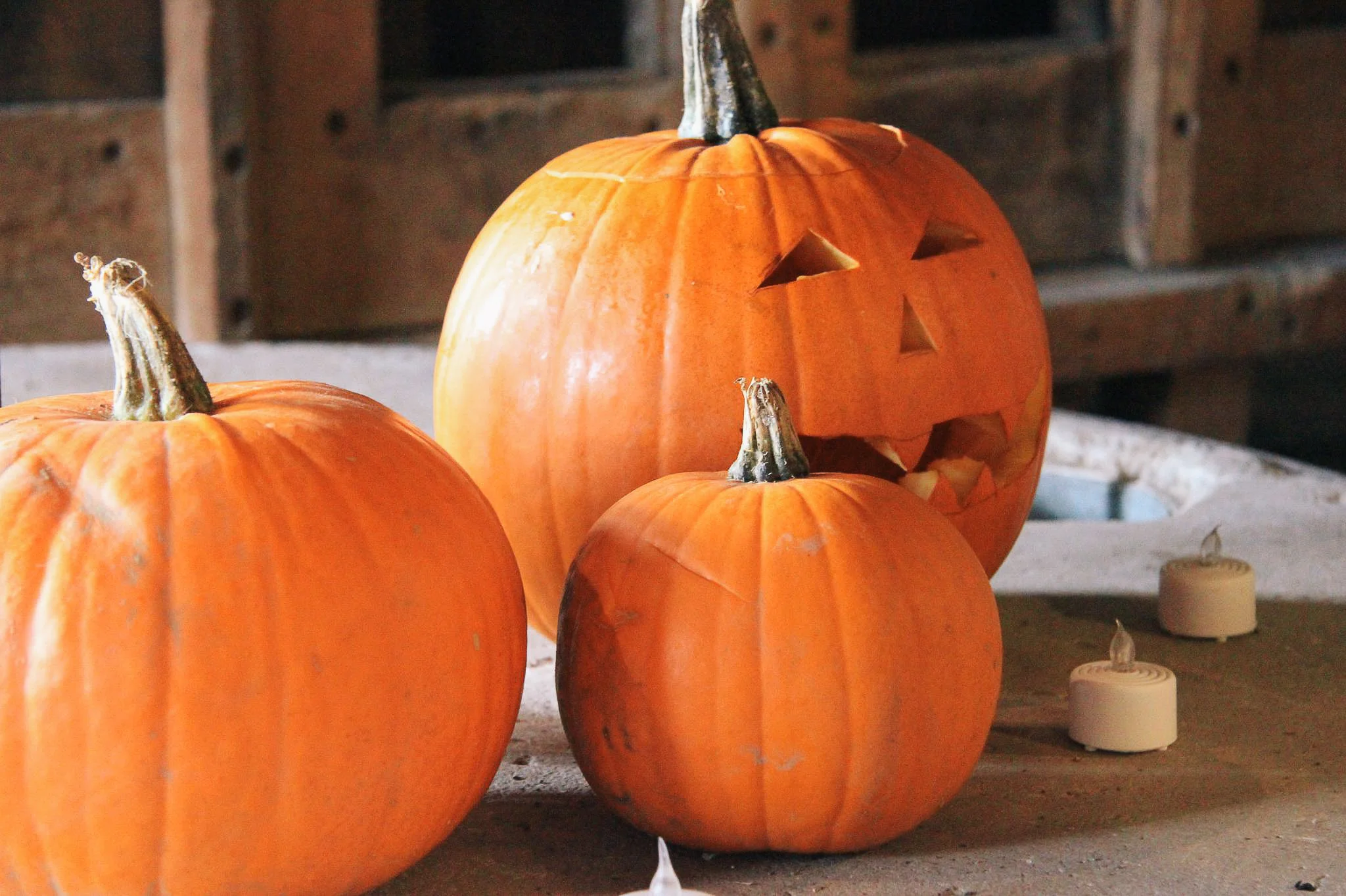 Lets Make Autumn Crafts