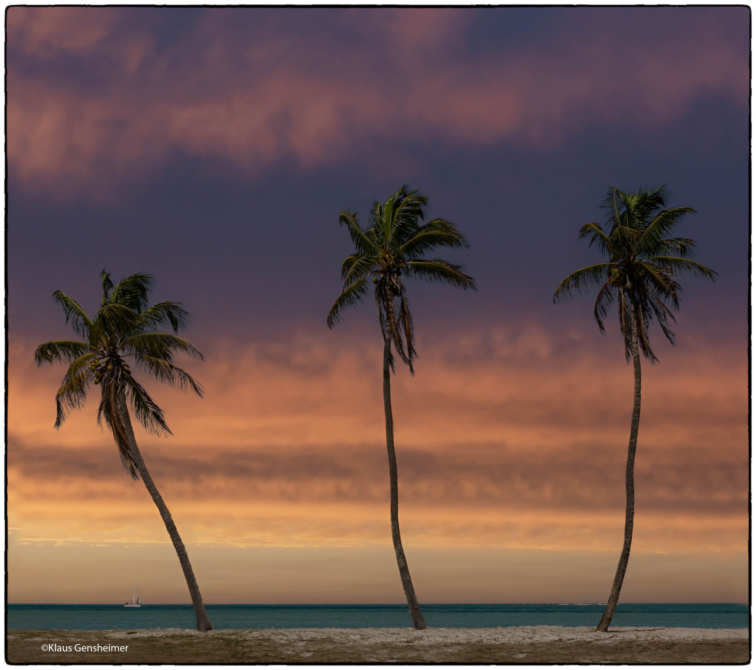 #PalmsSundownNBor.jpg