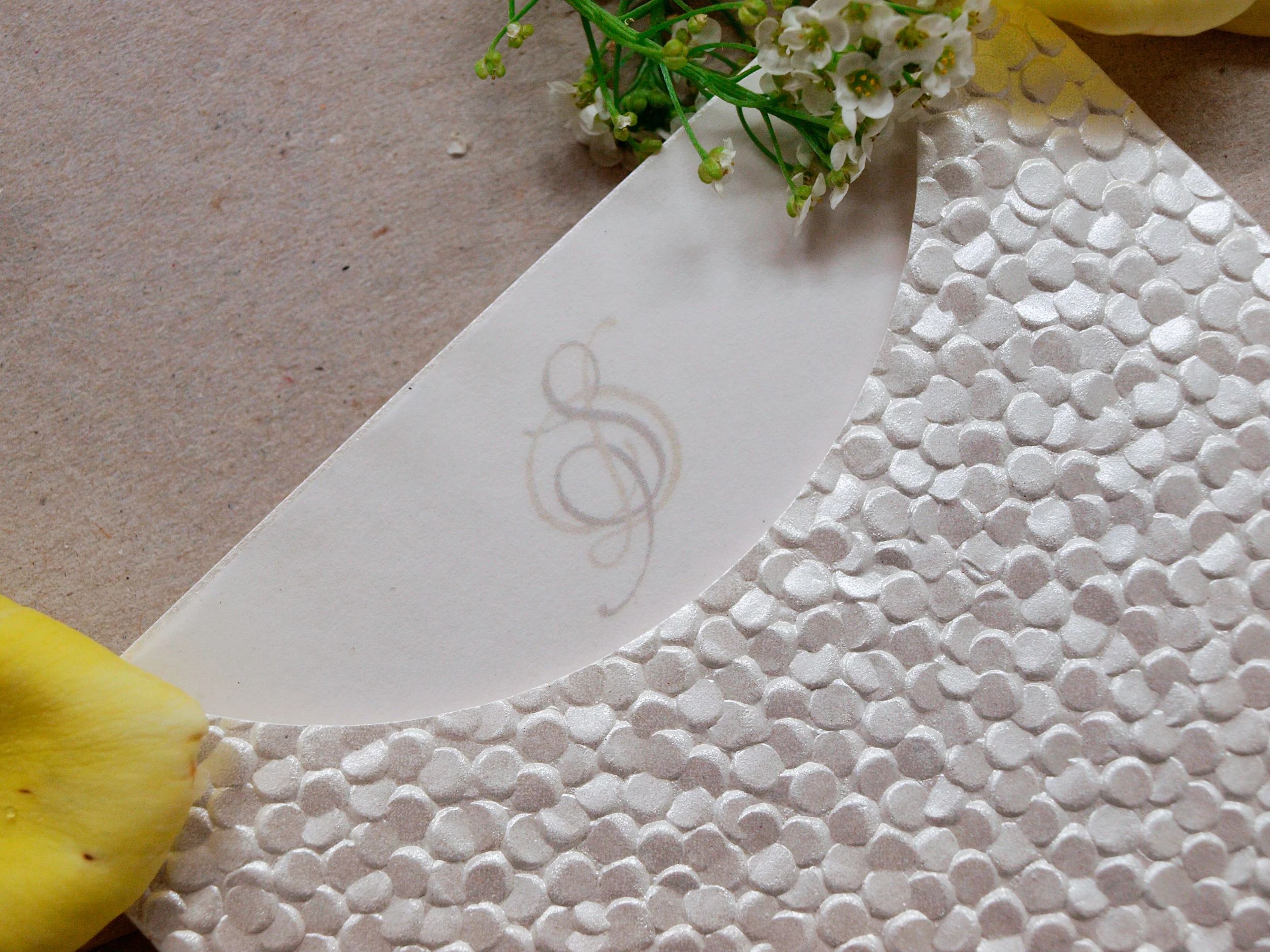 D and S monogram photo