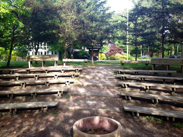photo.JPG