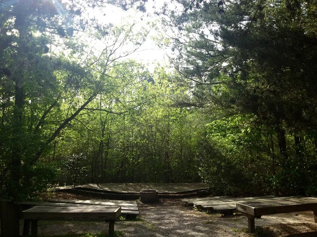 photo1.JPG