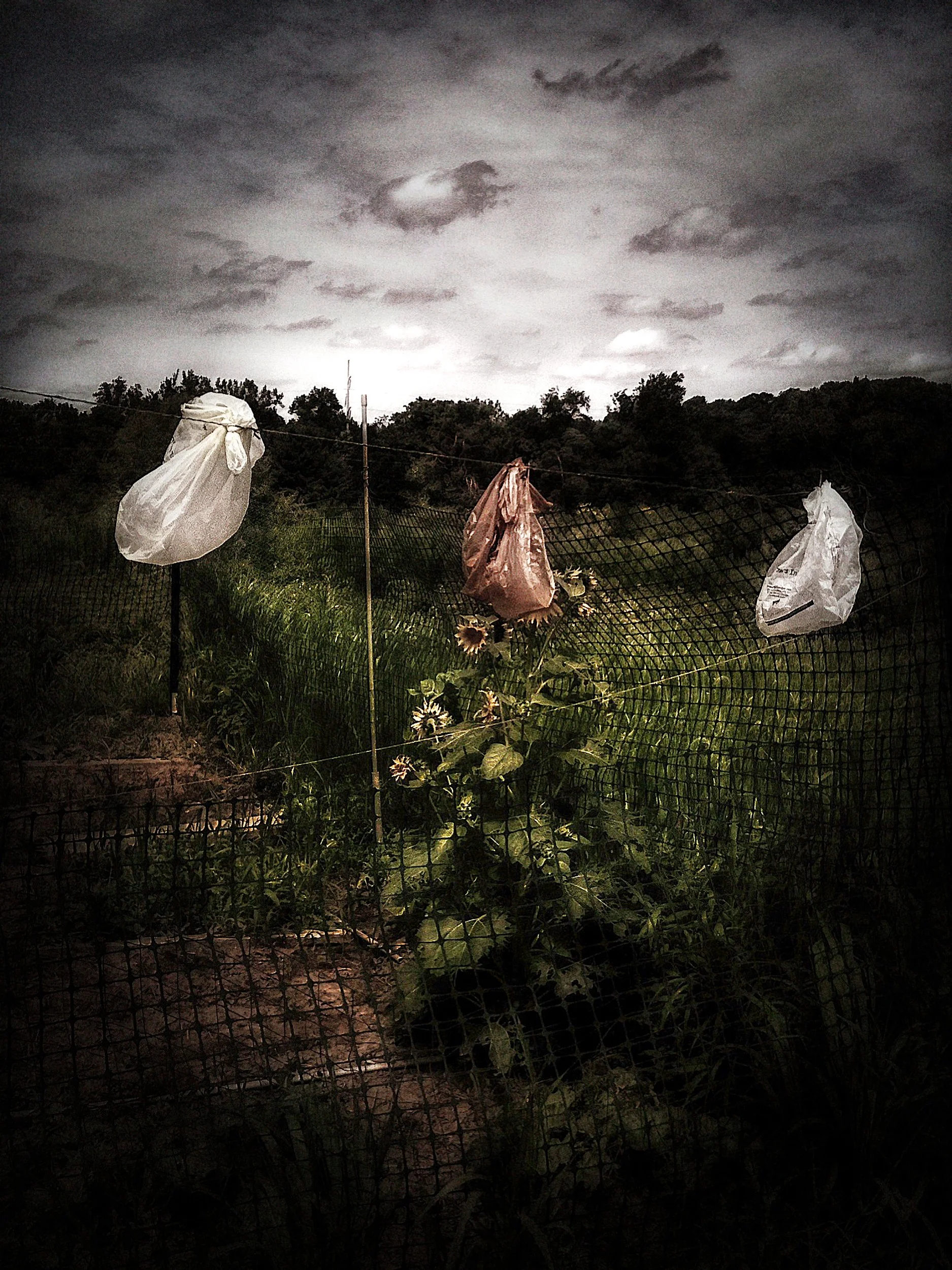 2011-08-09 at 04-30-16.jpg