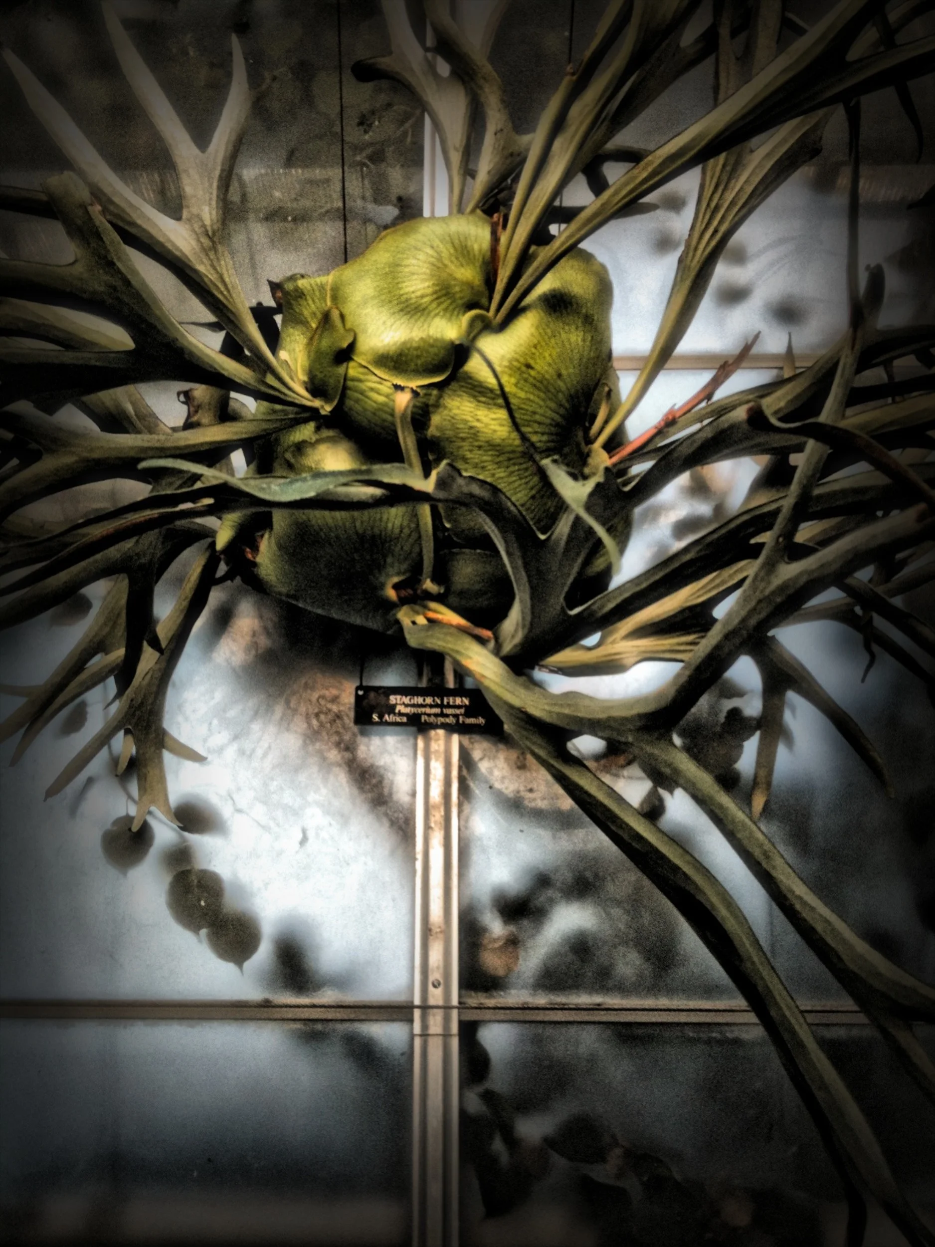 2011-07-17 at 13-59-16.jpg