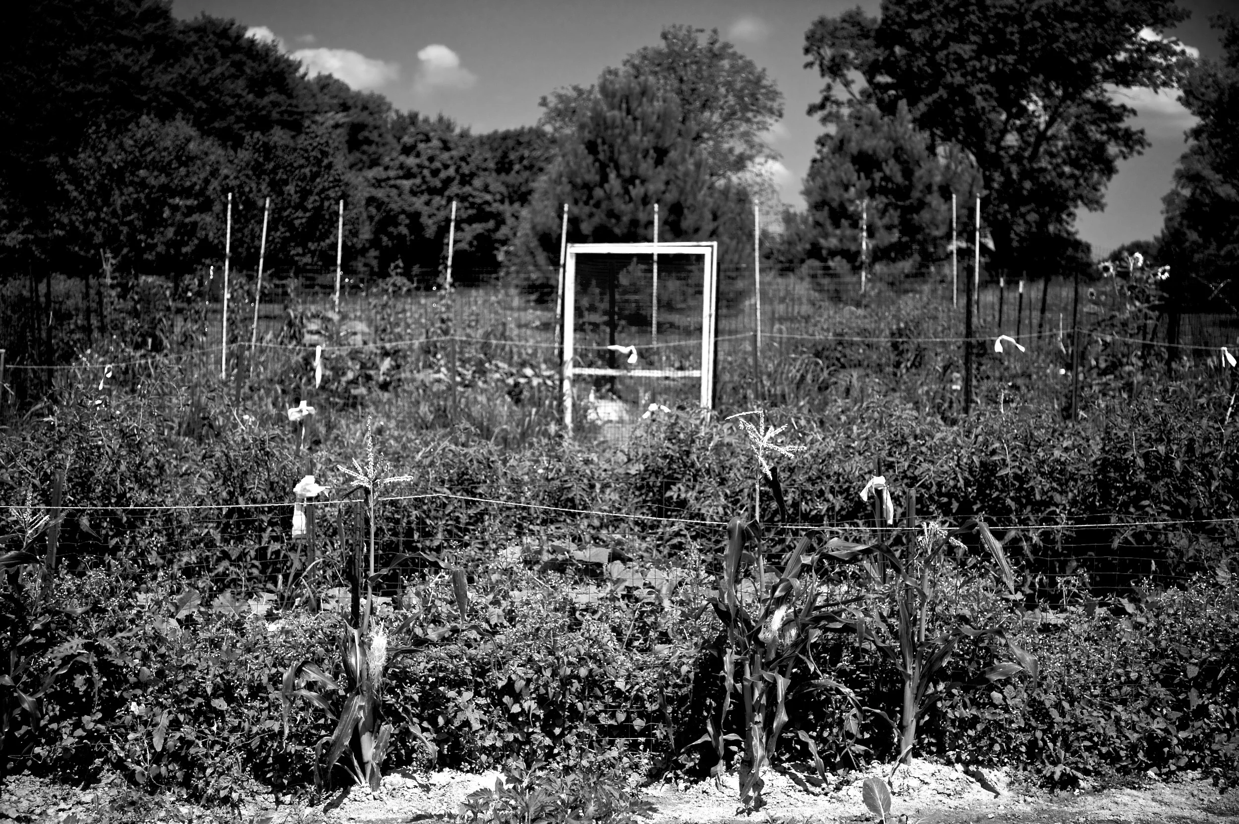 2006-07-08 at 22-12-41.jpg