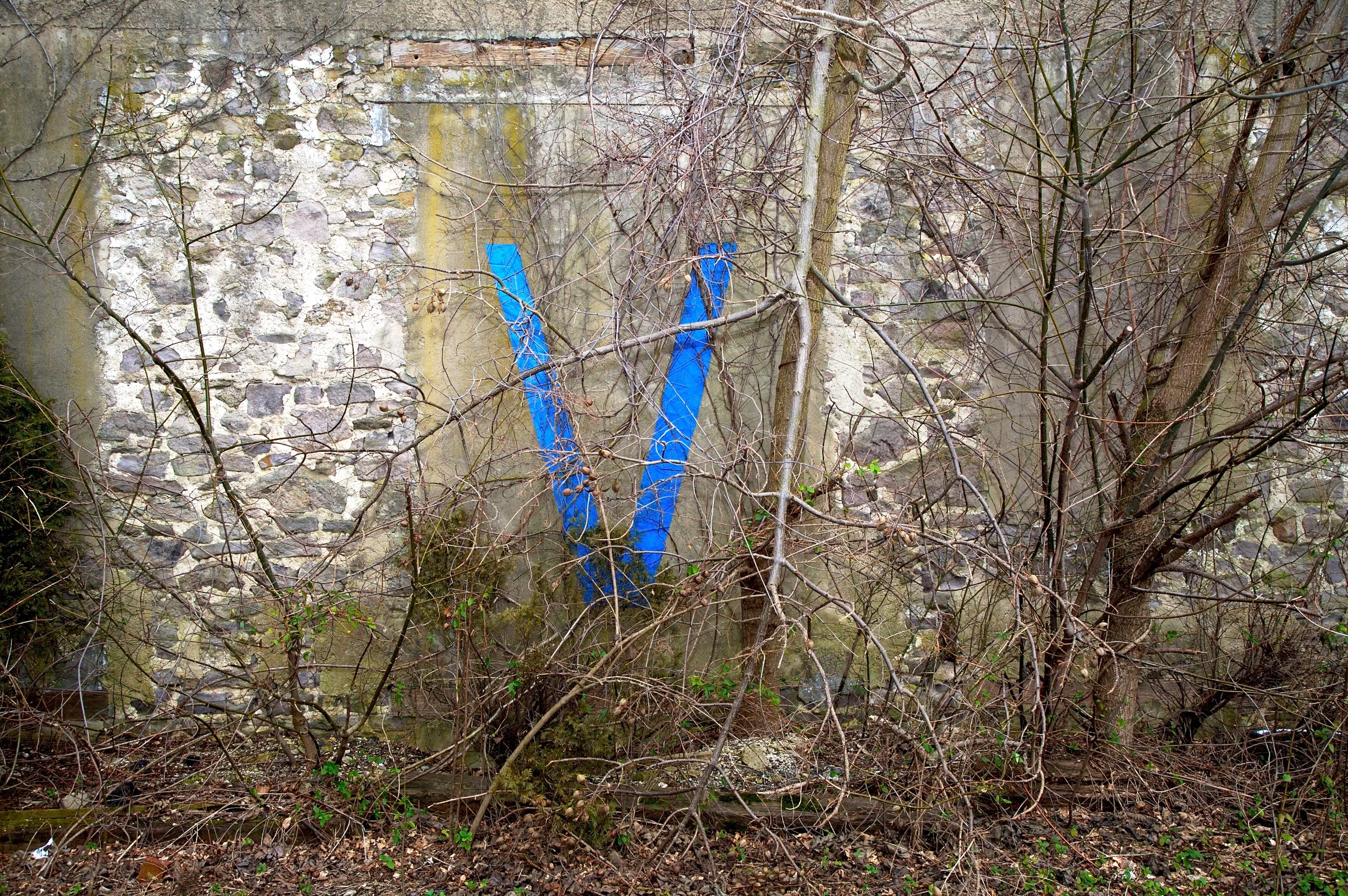 2007-01-28 at 03-21-04.jpg